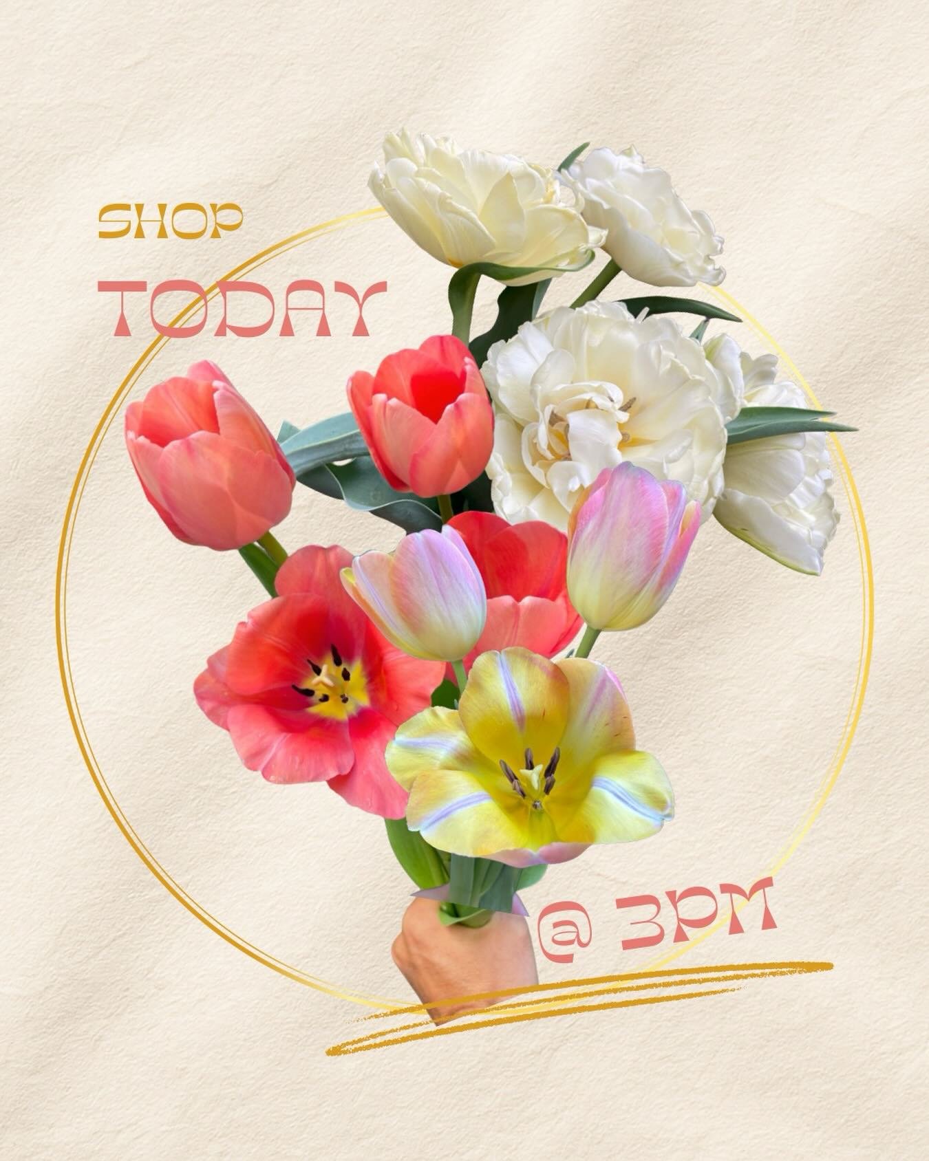 With the flower world's super bowl this weekend, we want to make sure y'all pause today at 3pm to order your freshies for next week's orders!

order on @rooted_farmers 

This week's SCFM farms include:
@wavelengthfarm 
@sidekickflowers 
@poppiesandpe