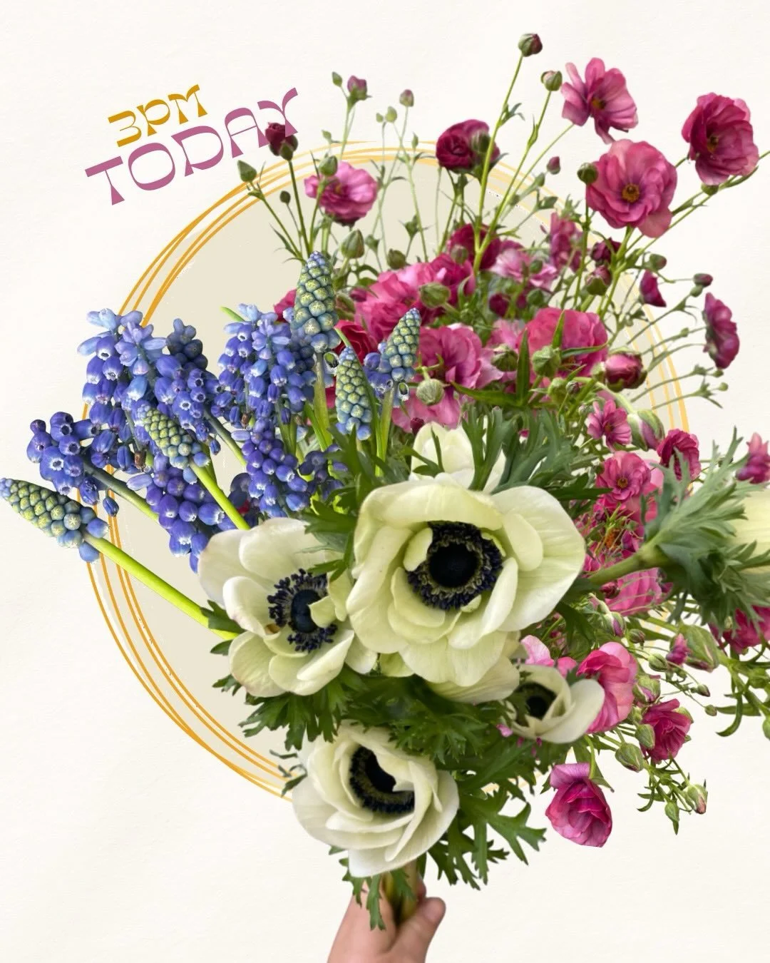 ...
It's a lovely time of year for flowers;
Anemones, ranunculus, tulips, daffodils, hyacinth and much more!

SHOP opens TODAY @ 3PM🌷🌷🌷
@rooted_farmers 

This week's SCFM farms include:
@top.of.the.hill.flowers 
@sidekickflowers 
@poppiesandpetals