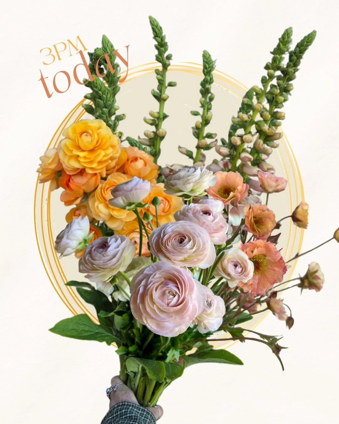 ...
Must be the FLOWERS!

Get yours at 3pm TODAY thru 10am on Sunday🌼

Shop on @rooted_farmers 

~~> direct link to SCFM shop in profile <~~