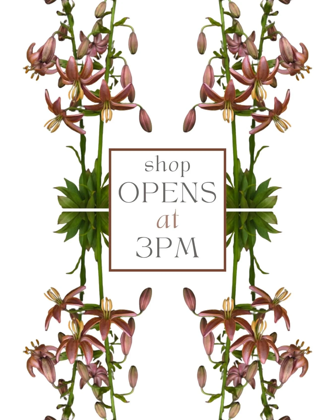 ✨✨✨

Catch the best of the best today at 3pm on @rooted_farmers