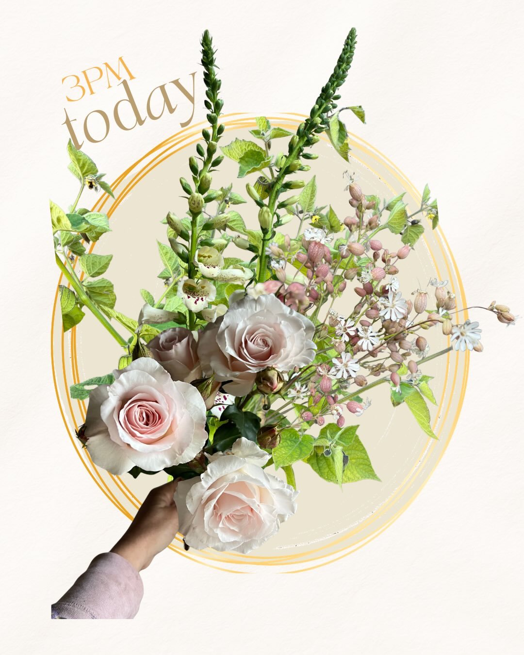 ...
Coming at ya LIVE at 3pm TODAY ✨

on @rooted_farmers 🌼