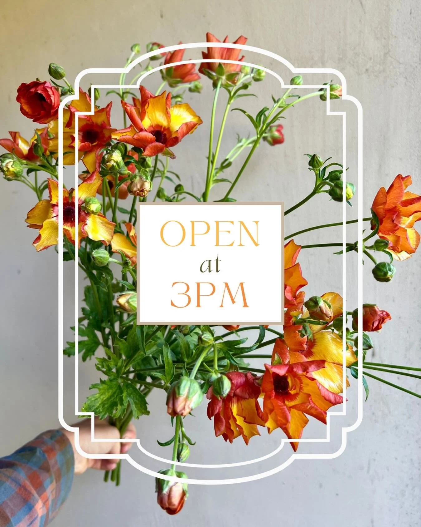 ...
Straight up flair🔥
Shop today at 3pm through Sunday at 10am.
On @rooted_farmers