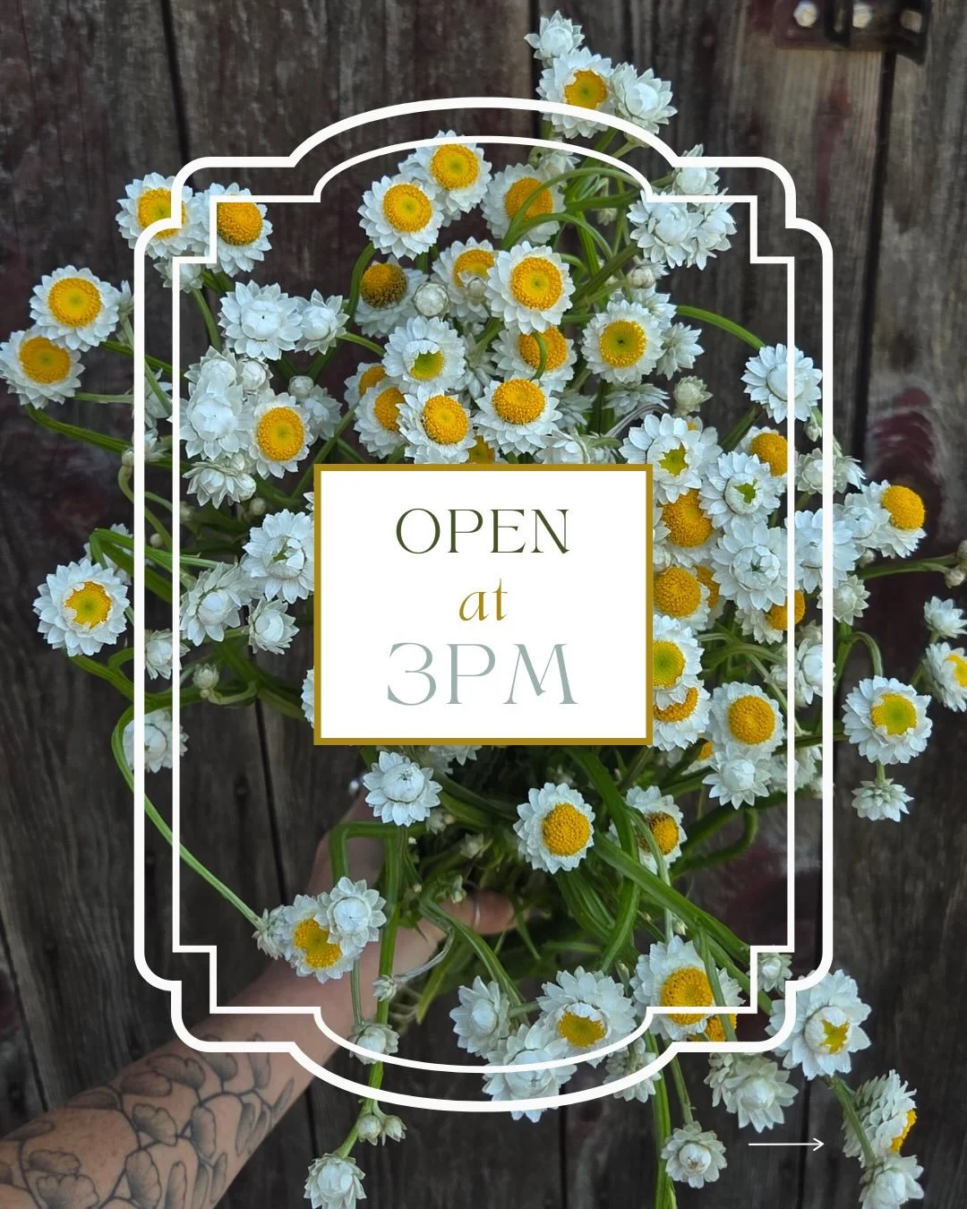 &bull;&bull;&bull;
Spring flowers are fading, making way for the summer annuals. Soon we'll be swimming in flowers and for now you have these delightful blooms to tide you over✨

Shop at 3pm on @rooted_farmers for the best pick!