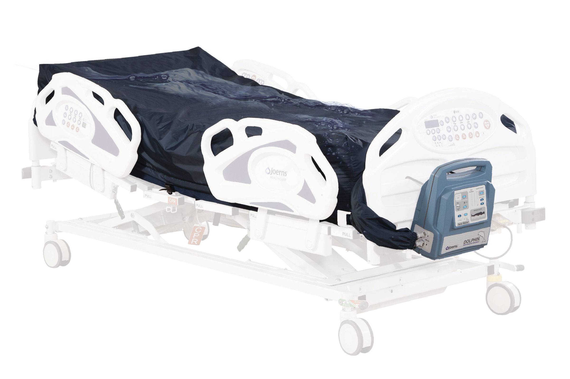Dolphin-Bed-On-Whiteout-Frame.png