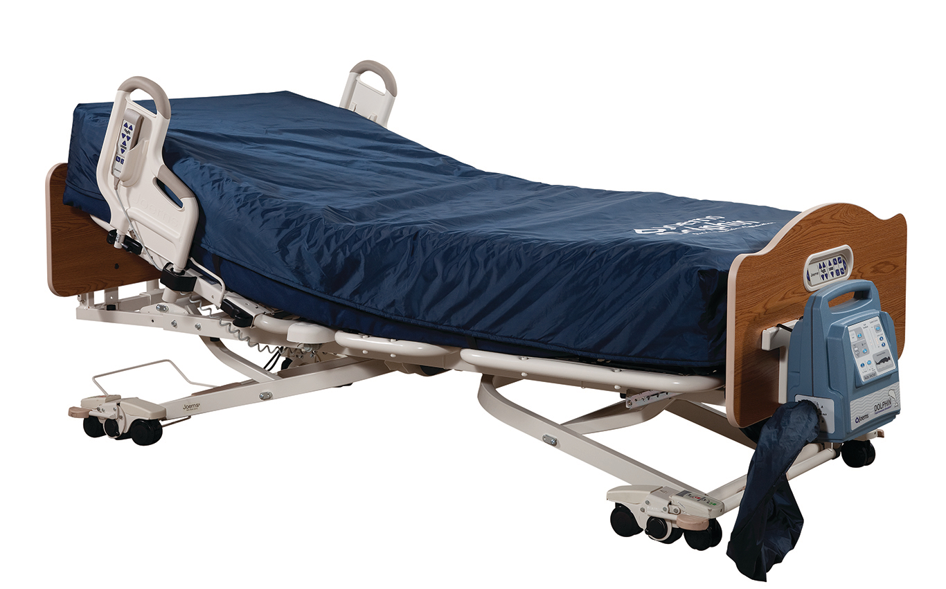 Dolphin-Bed-On-Frame.png