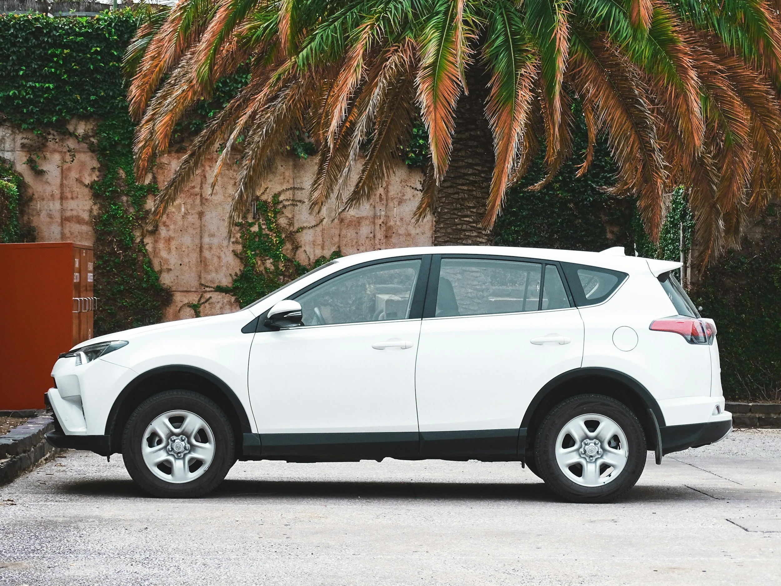A white SUV parked on a paved driveway with a large palm tree and a brick wall covered in green vines in the background.