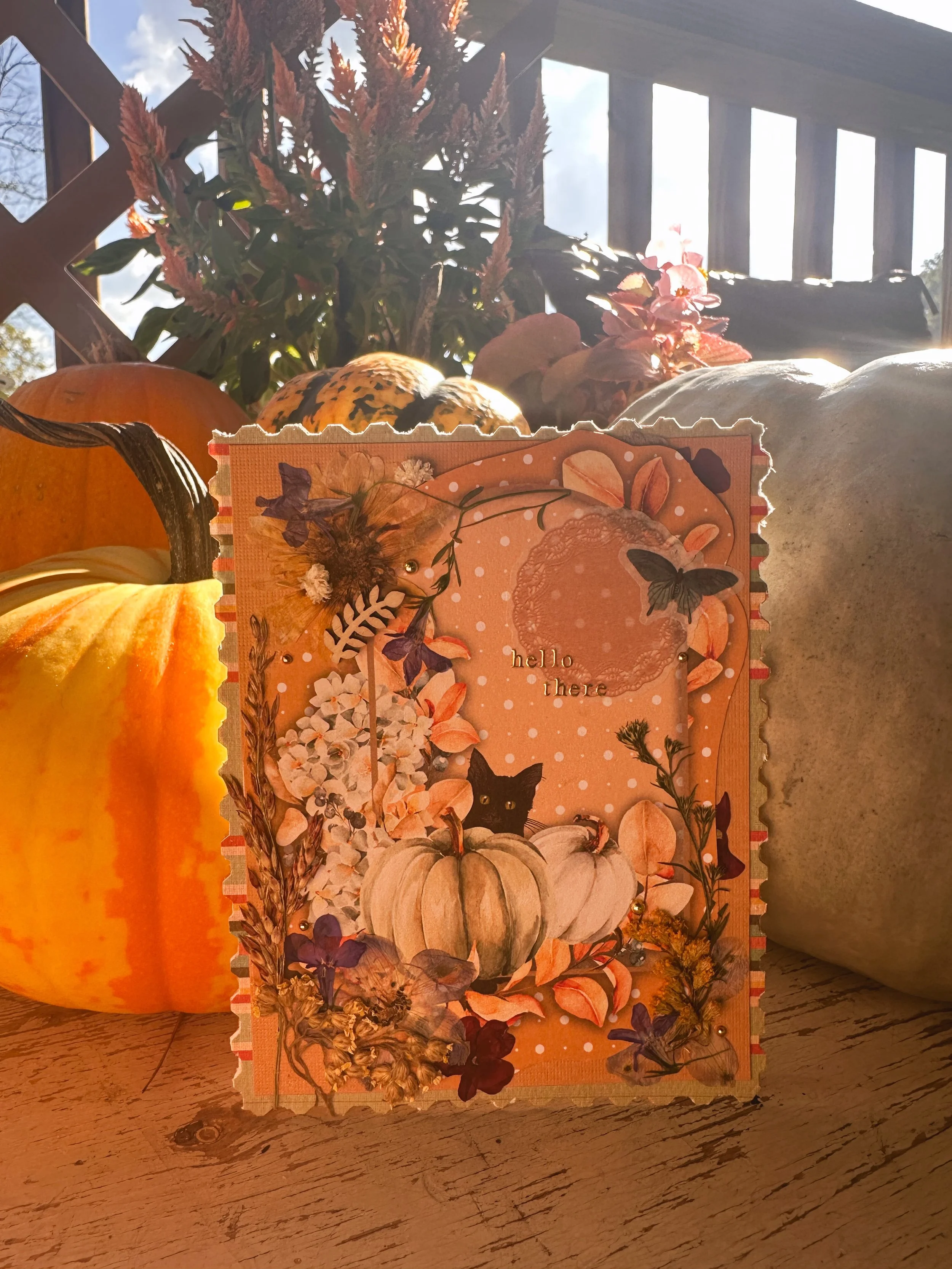 handmade fall themed pumpkin black cat card with pressed flowers and other embellishments