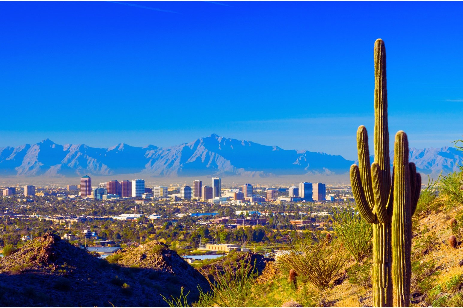 Amputee Rehabilitation Specialist Certification--Phoenix, AZ