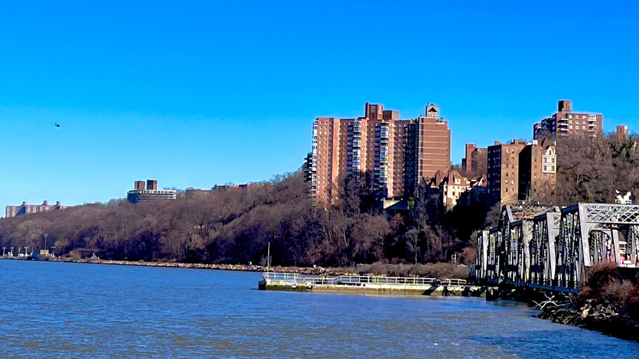 Riverside park with residential buildings and a bridge in the background under a clear blue sky.