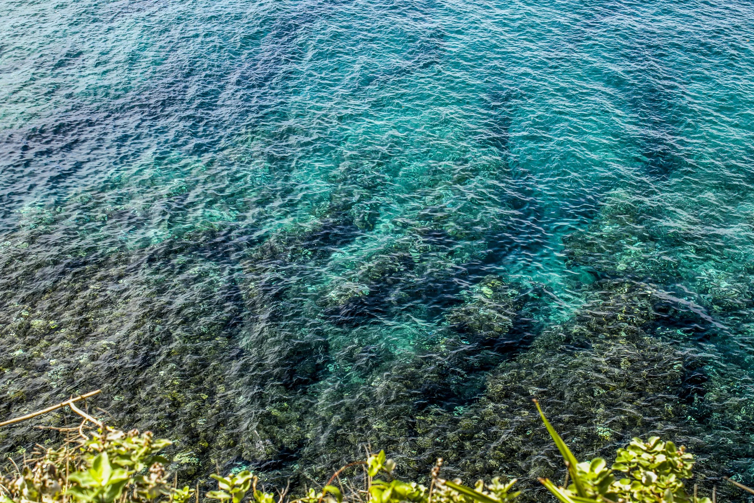 AmeliaThompsonRogers_Reef_Photograph_20x16 copy.jpg