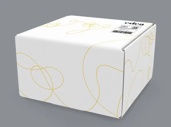 edea-huge-shipping-box.jpg