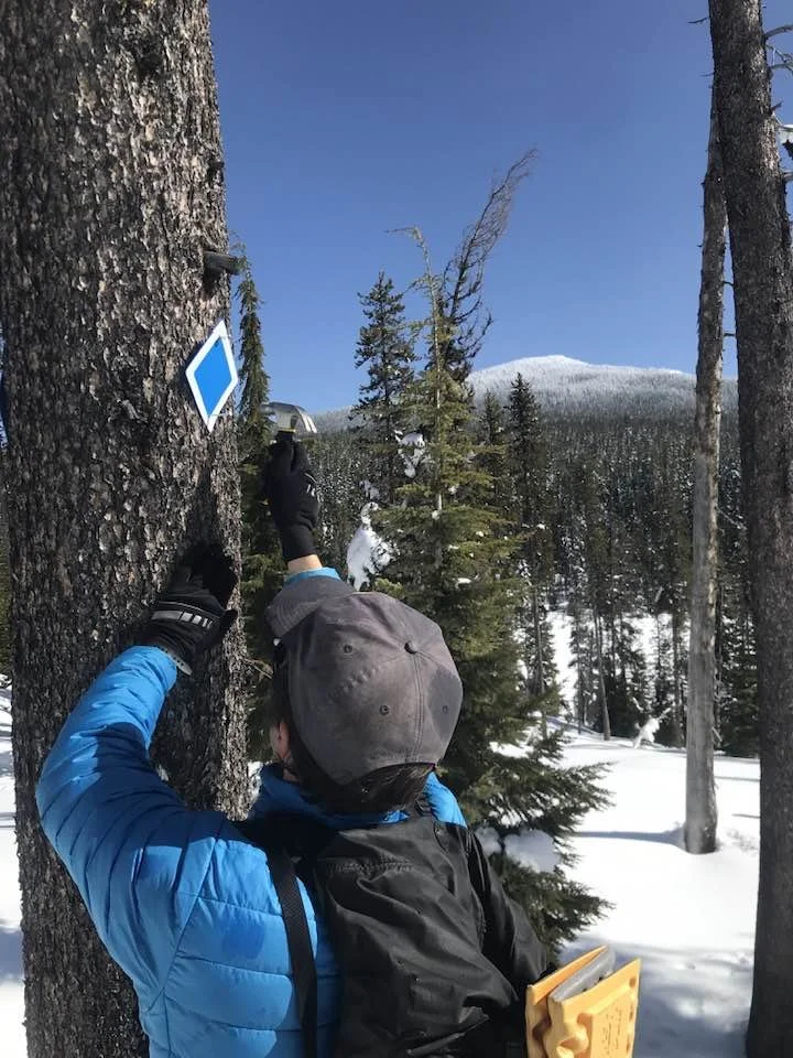 Trail work 3.jpg