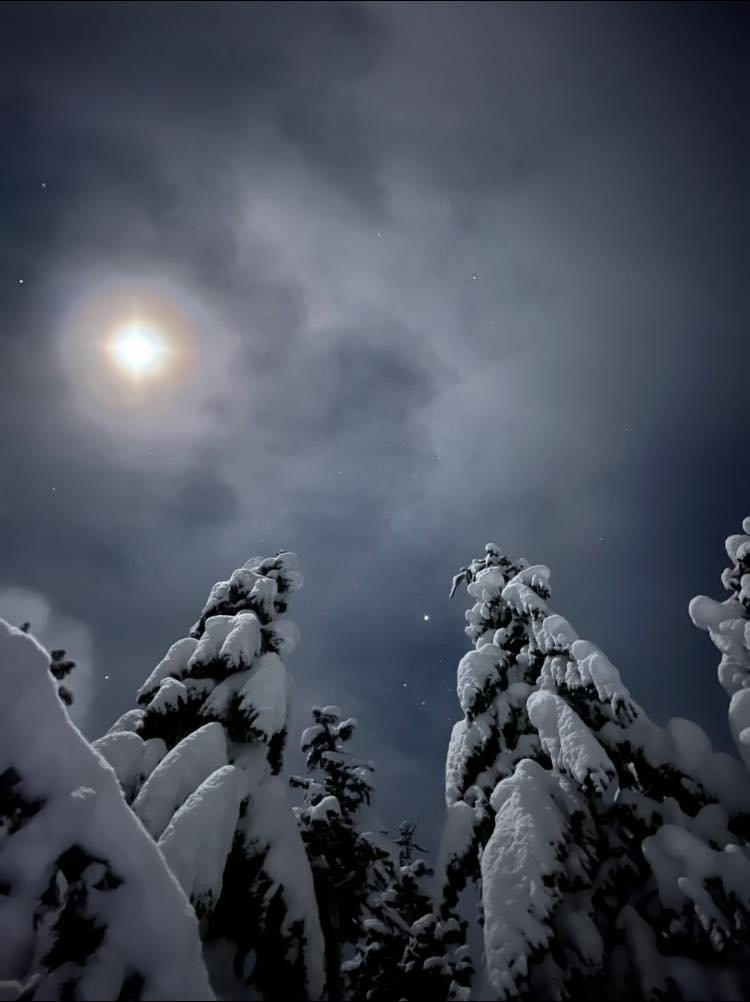Moonlight.jpg