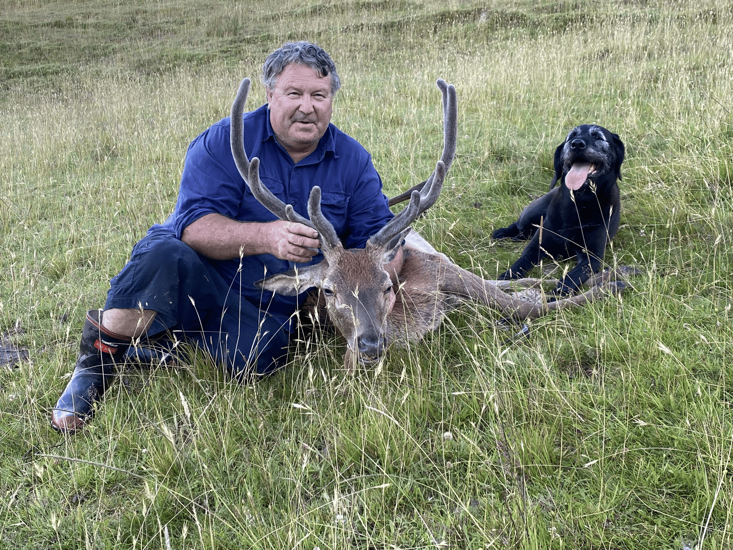 Ohana Bay Hunting Deer, South Island, New Zealand
