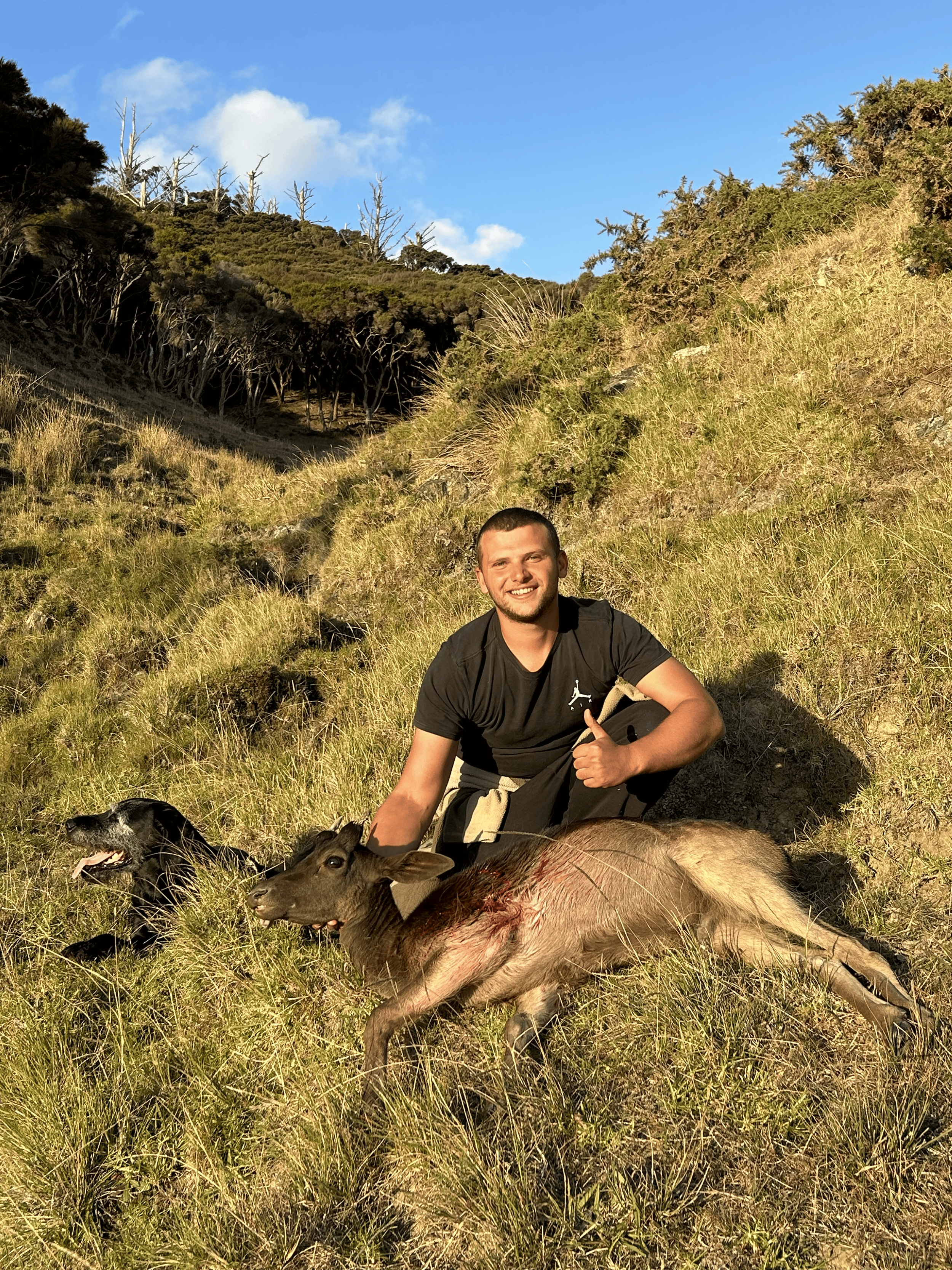 Ohana Bay Hunting Deer, South Island, New Zealand