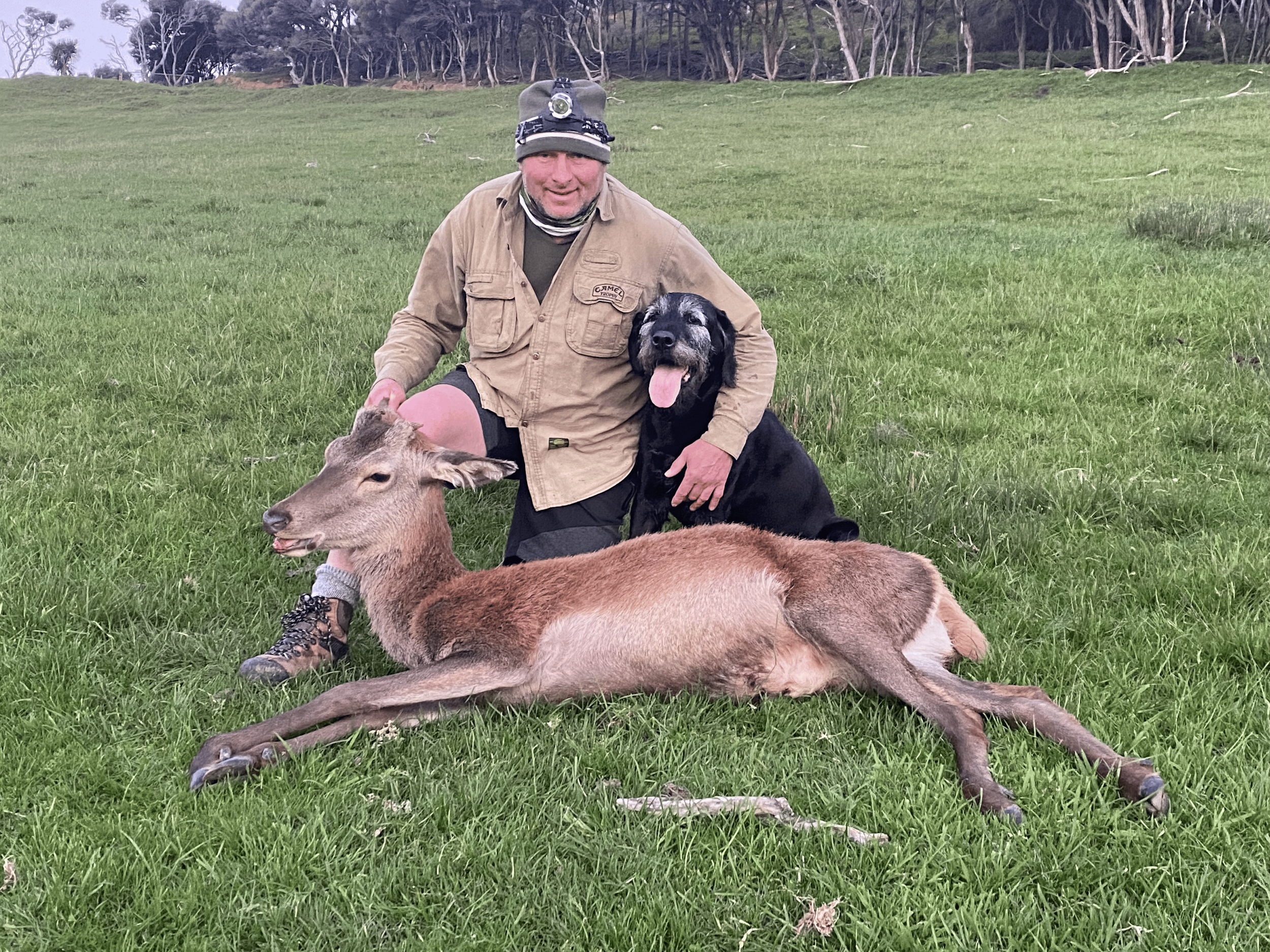 Ohana Bay Hunting Deer, South Island, New Zealand