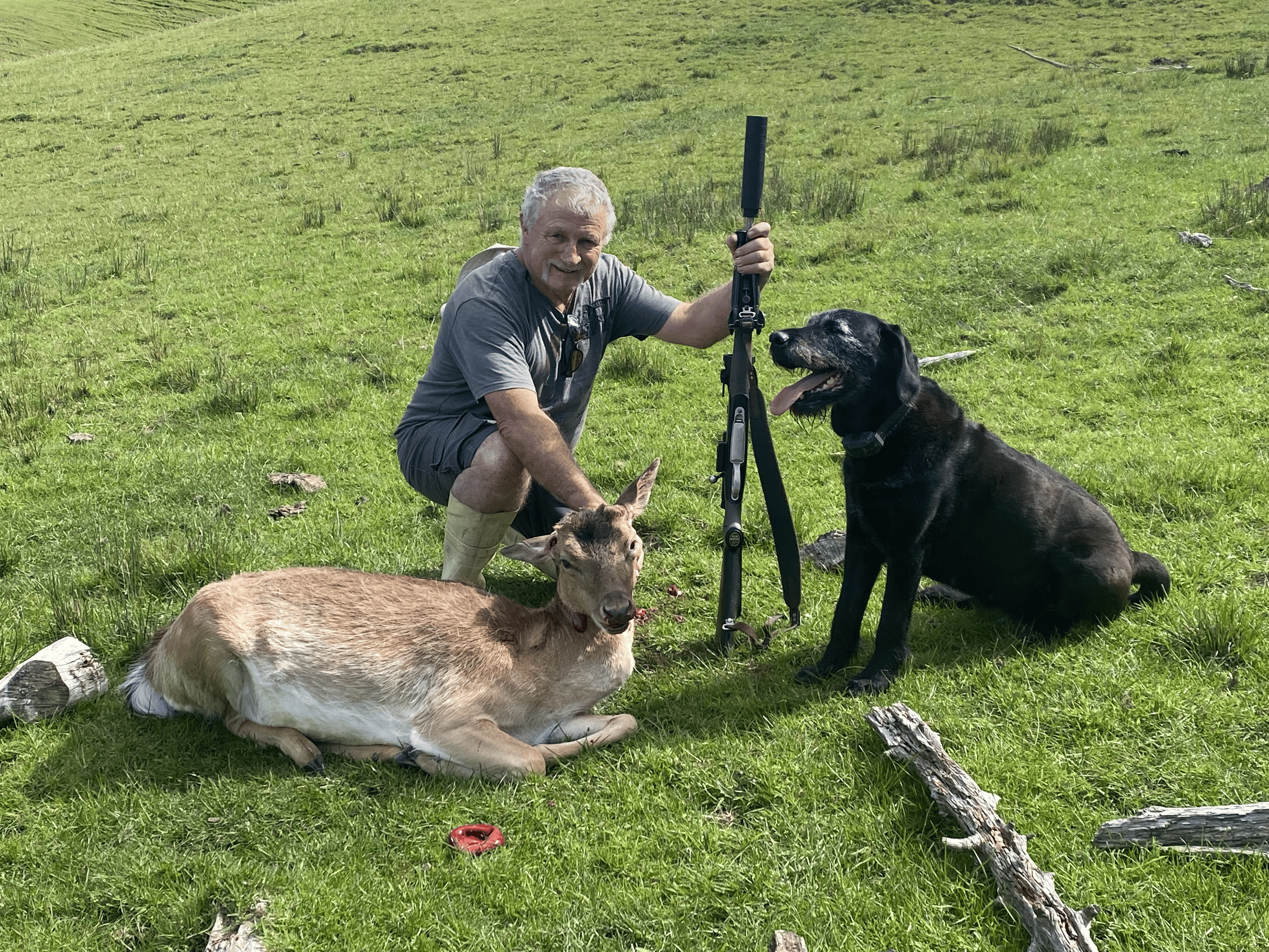 Ohana Bay Hunting Deer, South Island, New Zealand