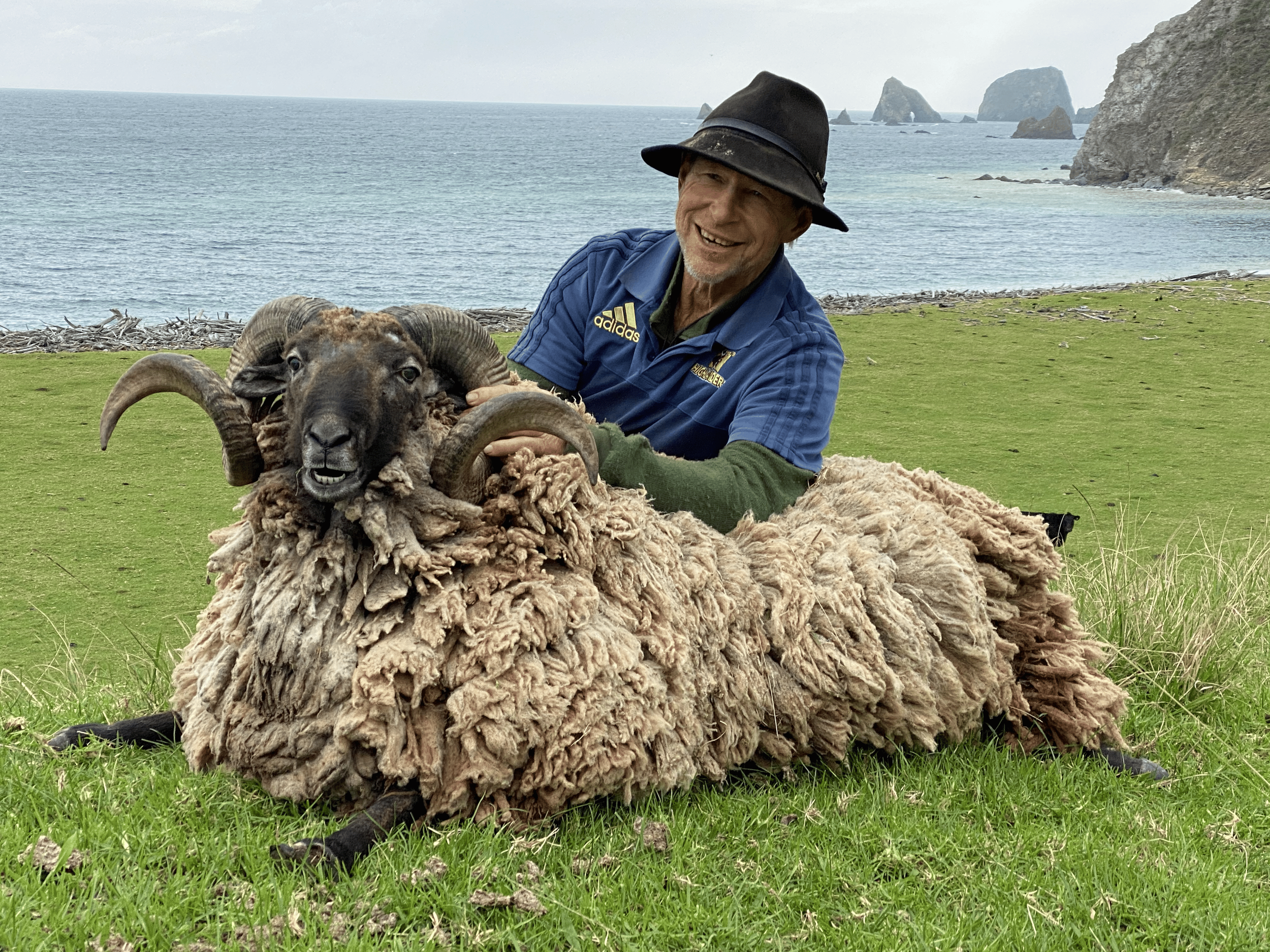 Trophy Ram at Ohana Bay Hunting