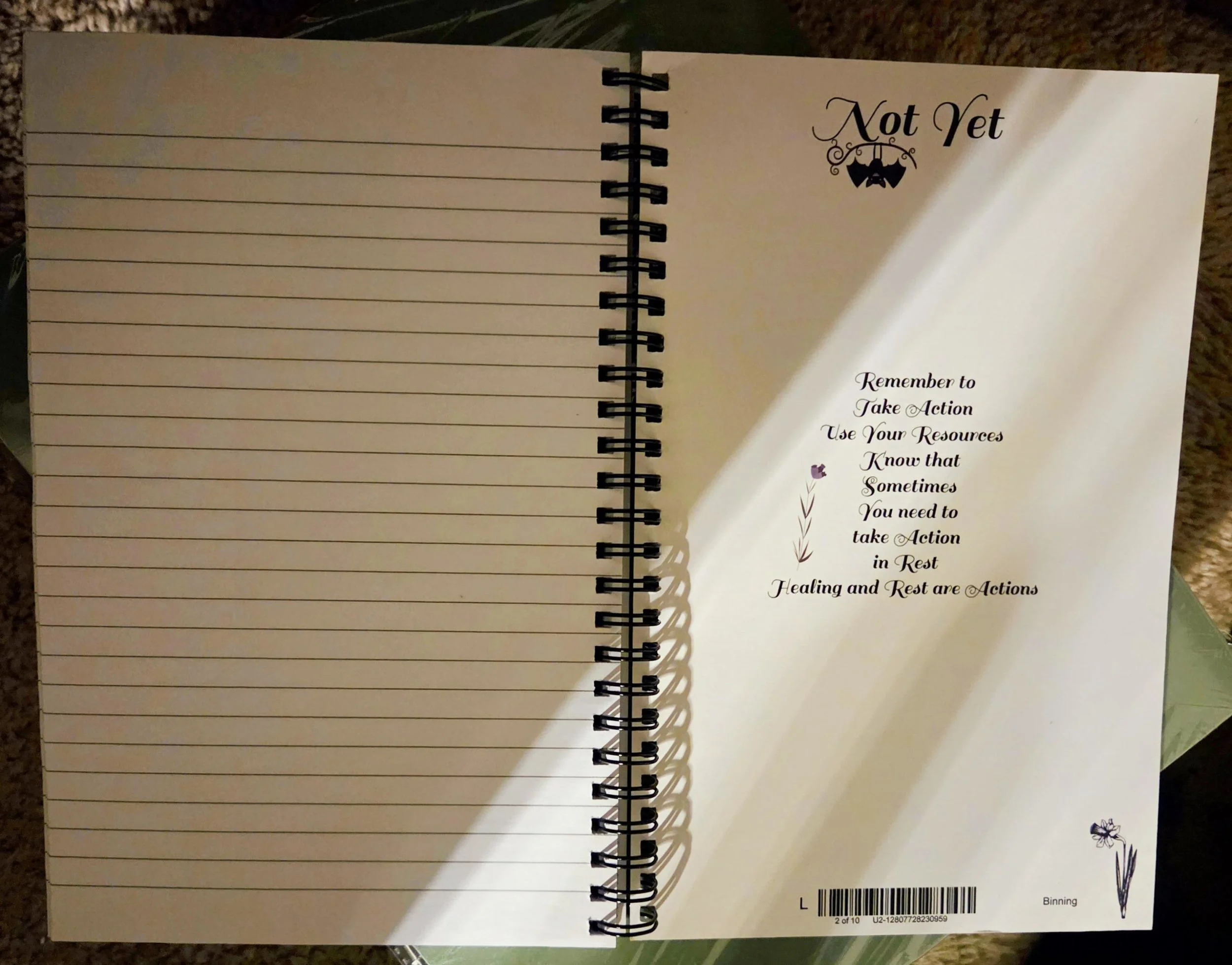 journal.you.created.2025..2.close.up.inside.back.cover.JPG