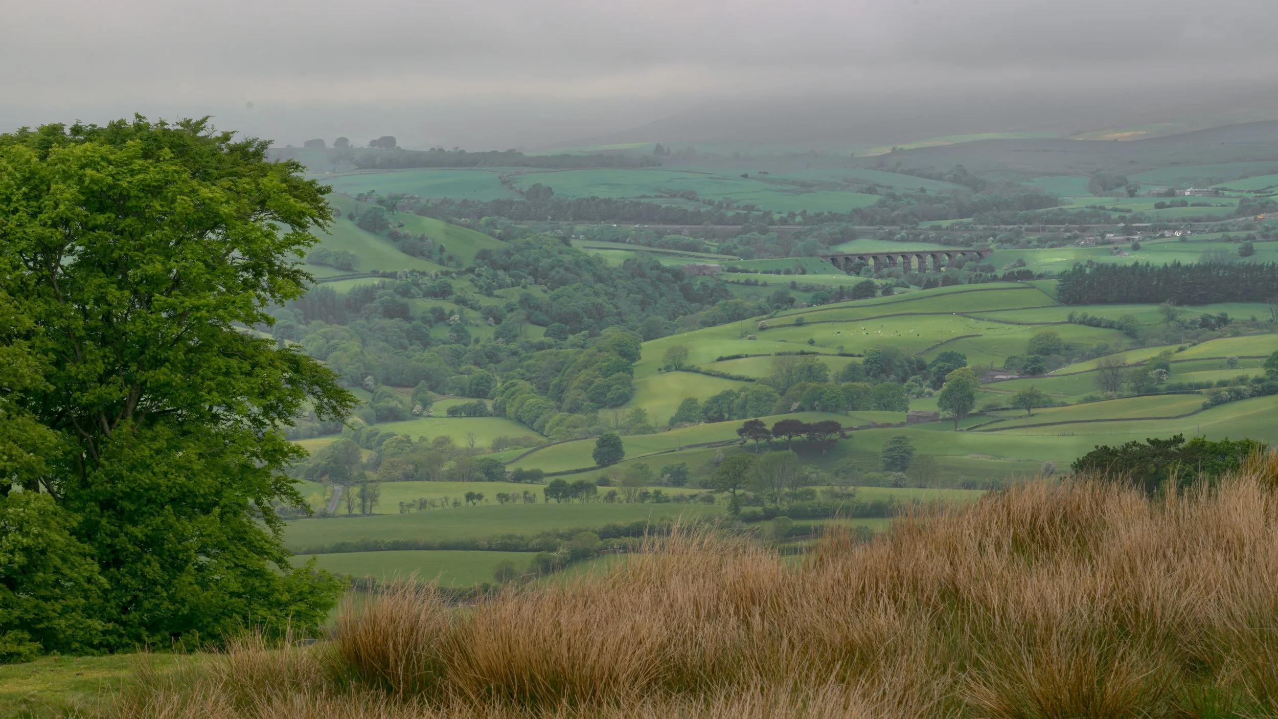 This landscape was on the descent from Arant Haw in the Howgill Fells, near Sedbergh