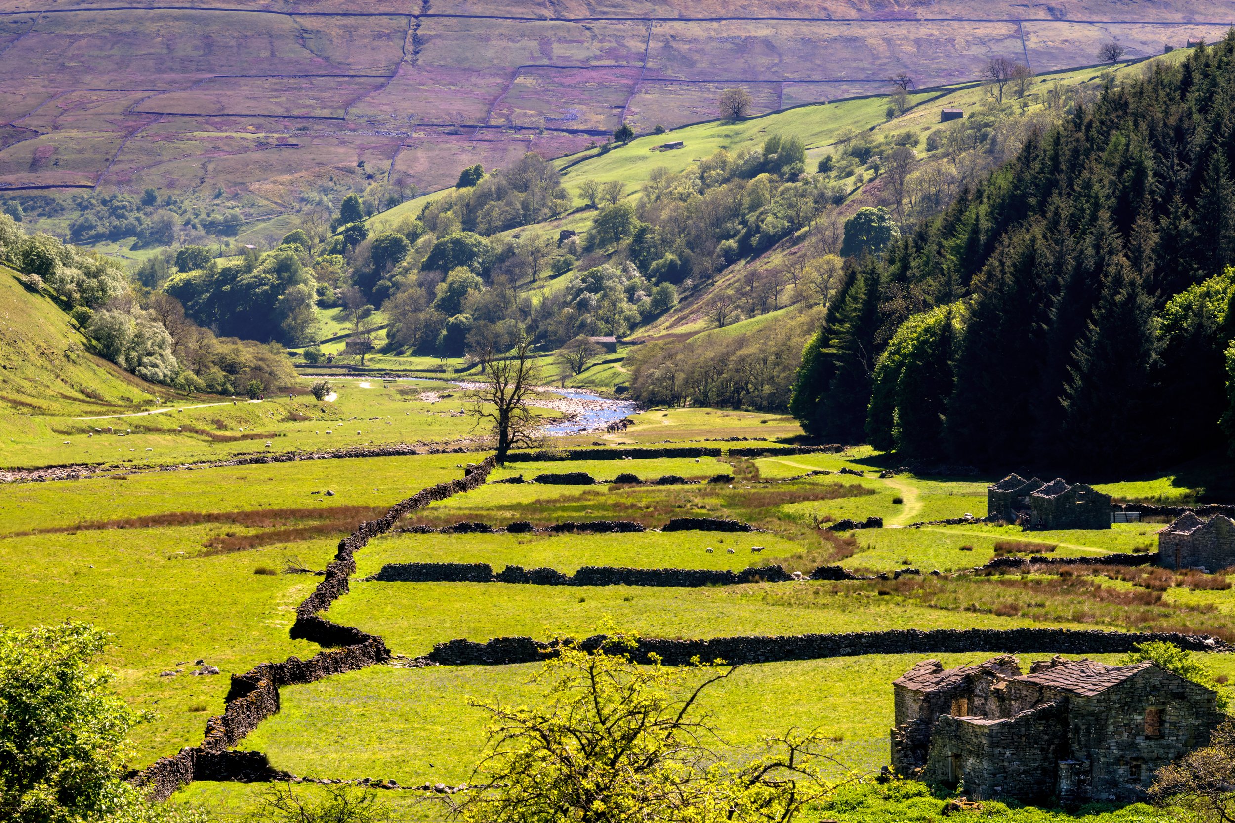 This landscape was along the River Swale as we neared the town of Muker, in the Swaledale Valley