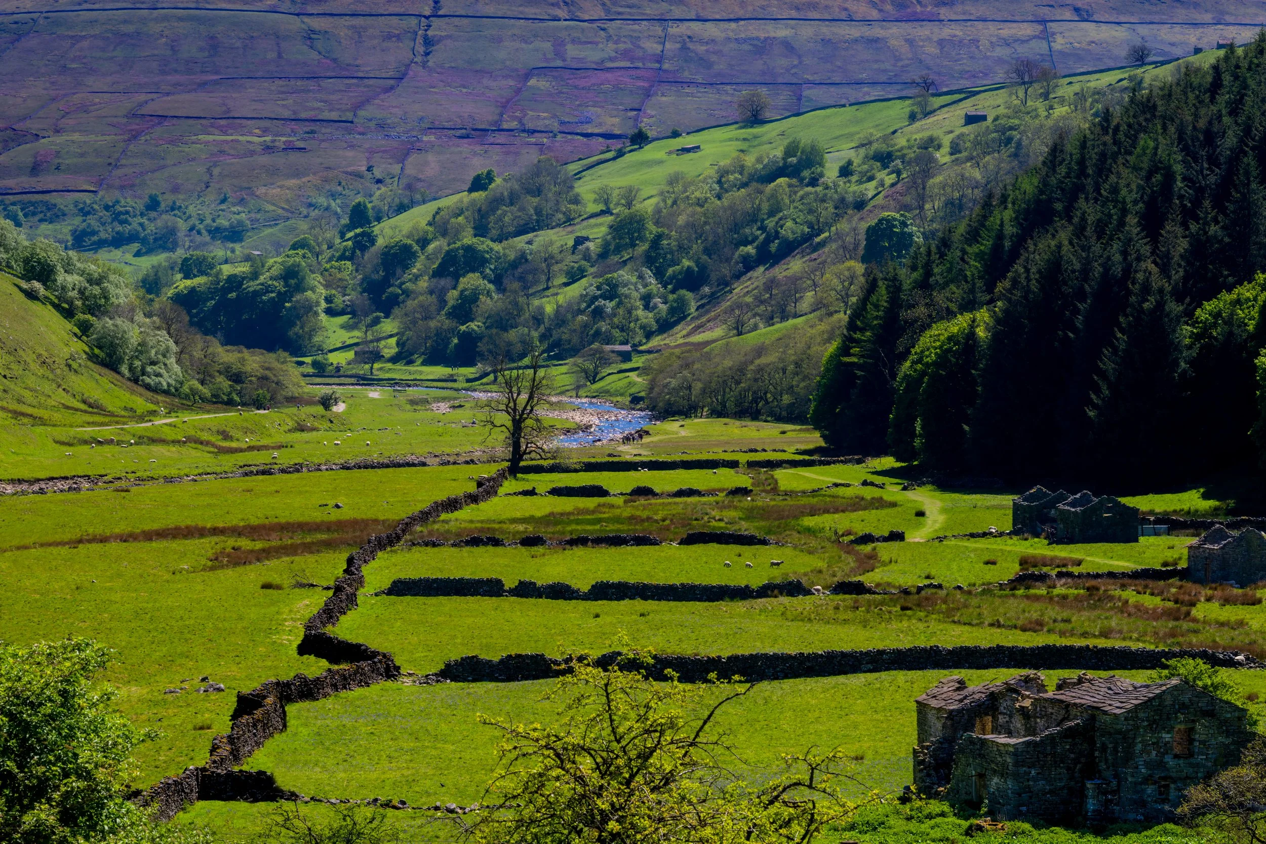 This landscape was along the River Swale as we neared the town of Muker, in the Swaledale Valley