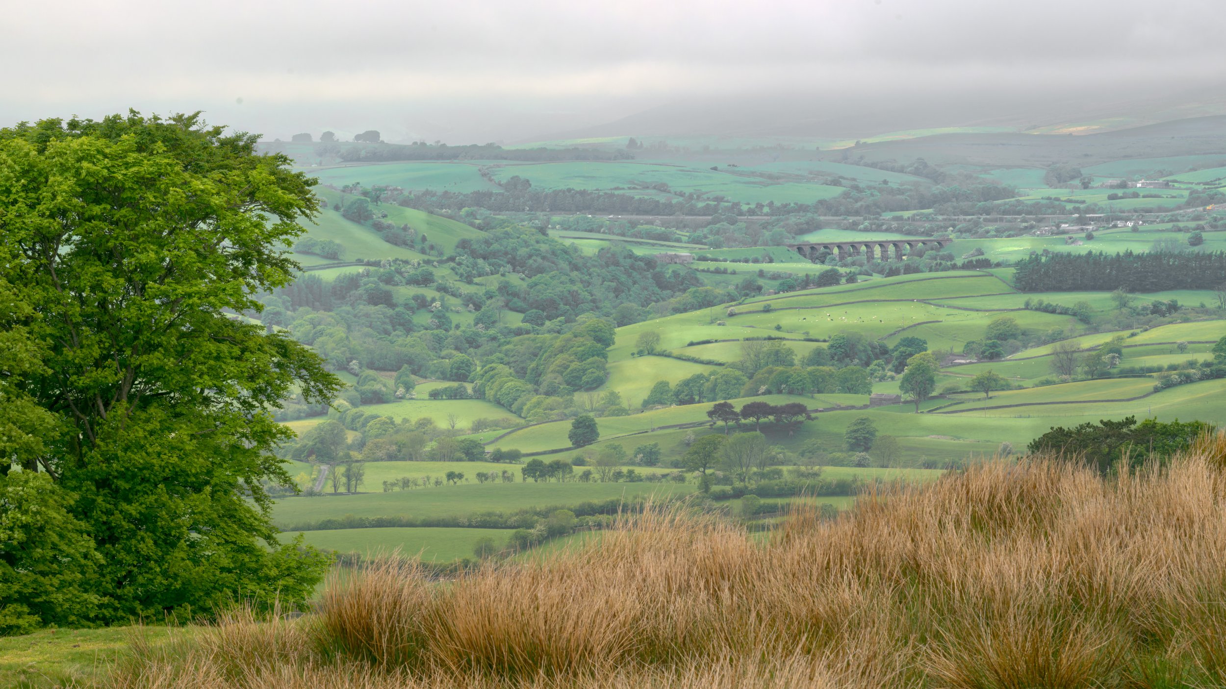 This landscape was on the descent from Arant Haw in the Howgill Fells, near Sedbergh