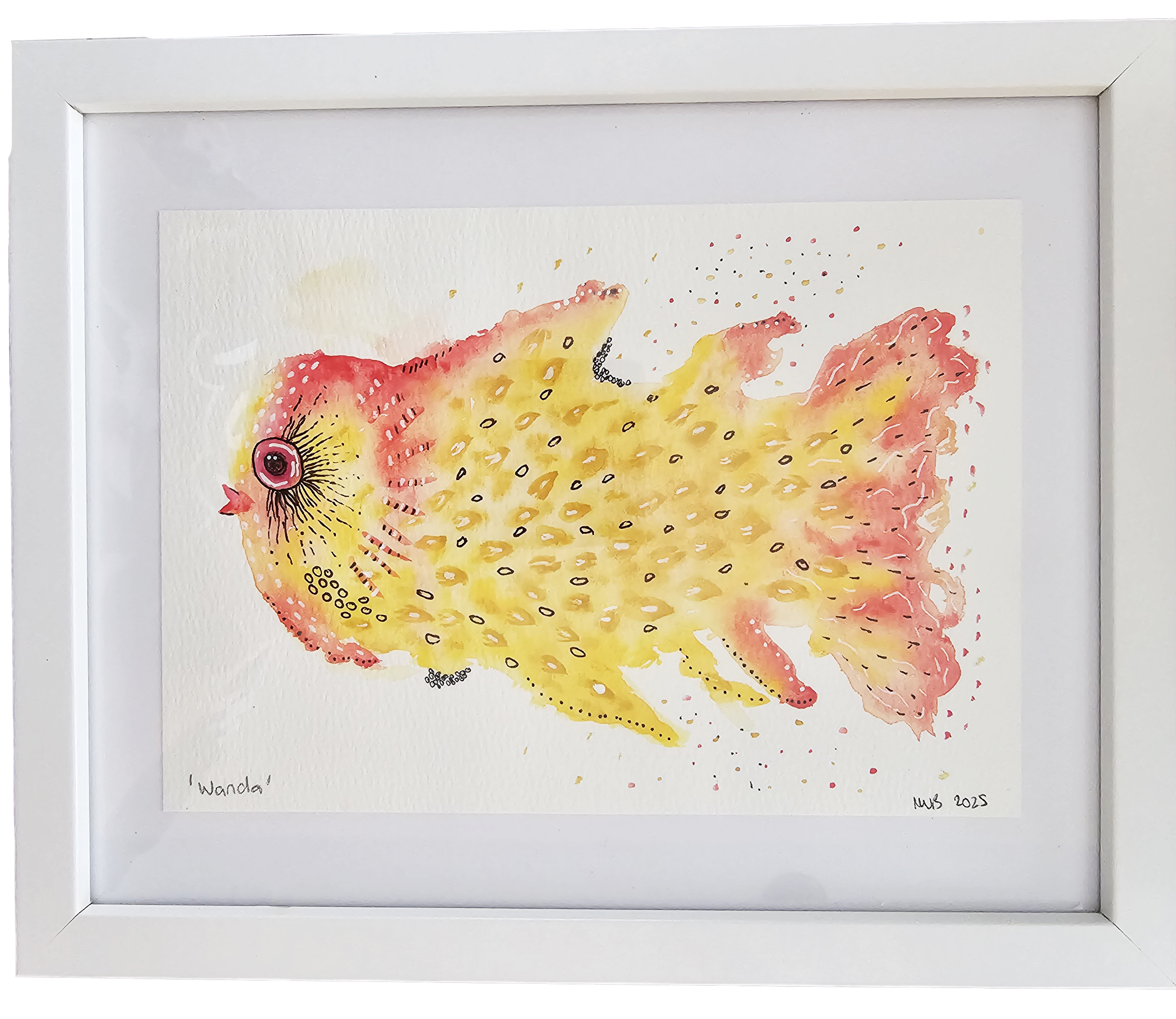 Watercolor painting of a fish with yellow, orange, and pink hues, prominent eye, and delicate black line details, framed in white.