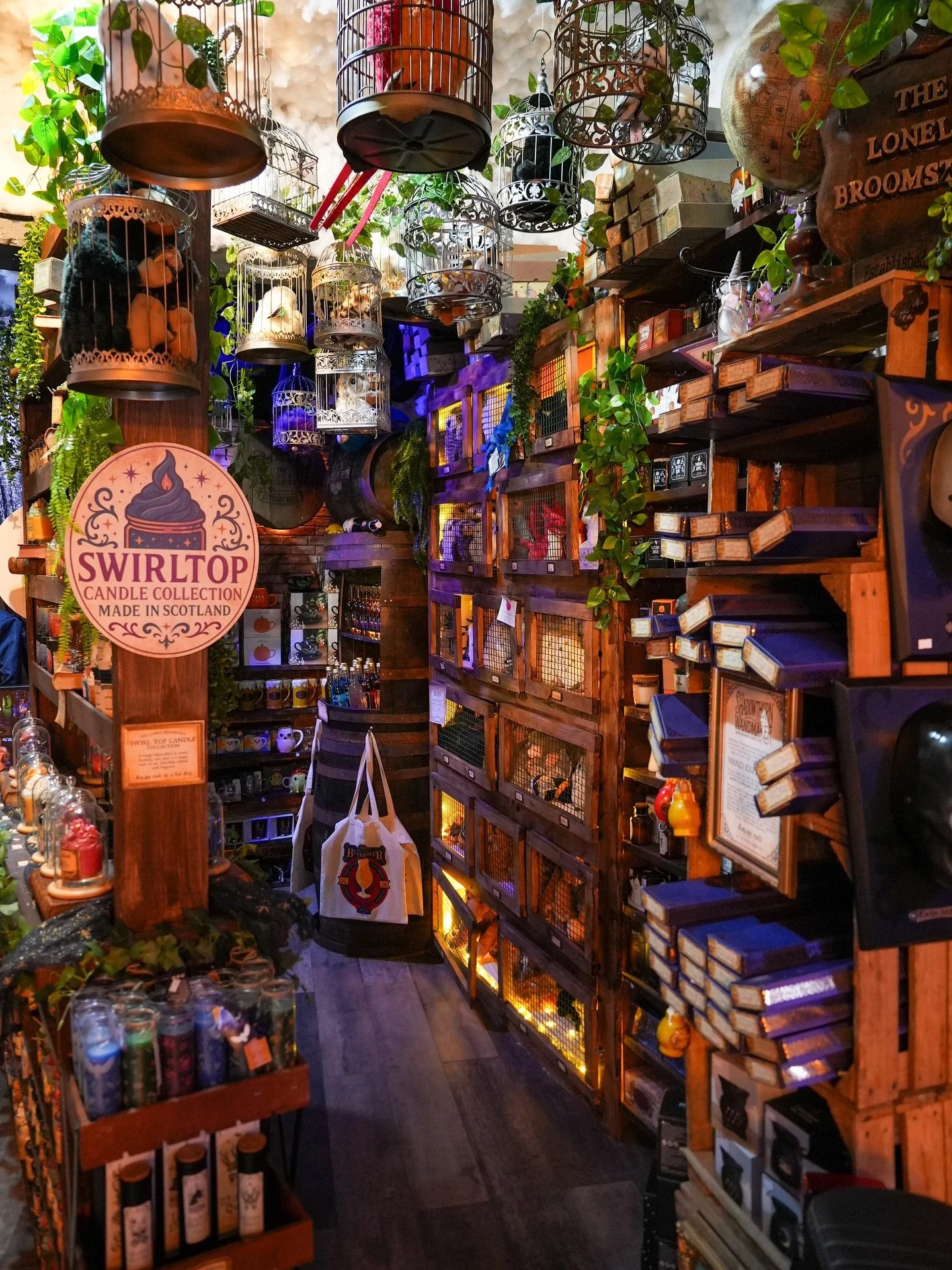 ✨Adopt a magical creature, receive your very first wand, become an official potion master. We have it all here at The Lonely Broomstick!✨