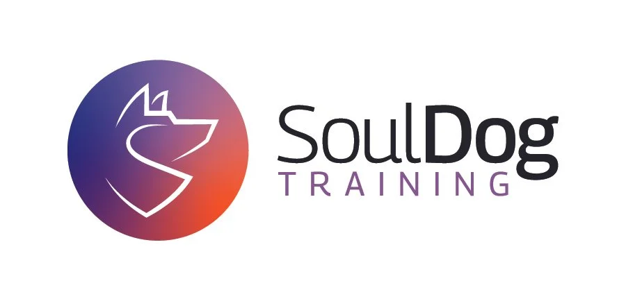 Dog Training in Fort Collins, CO