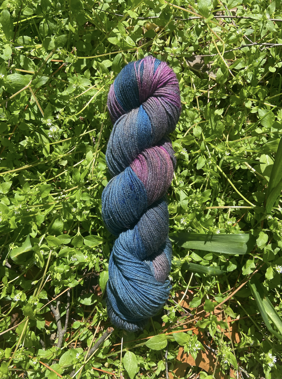 Wild Violets ꩜ Hand Dyed Fingering Yarn