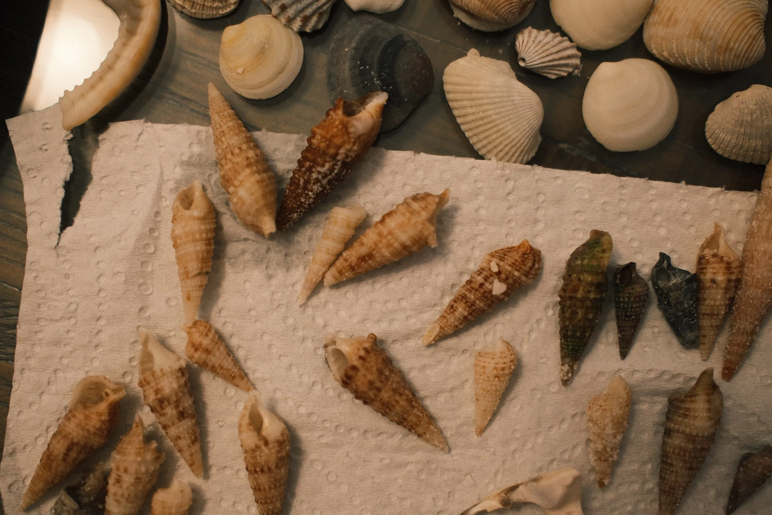 DSCF7245.JPG