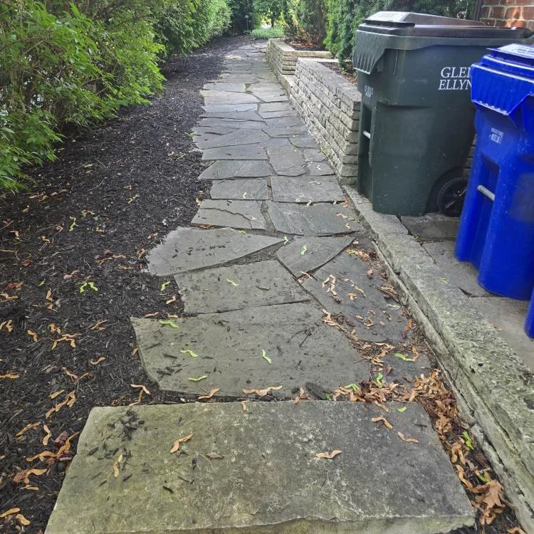 BEFORE: Dirty, algae-stained flagstone in Glen Ellyn