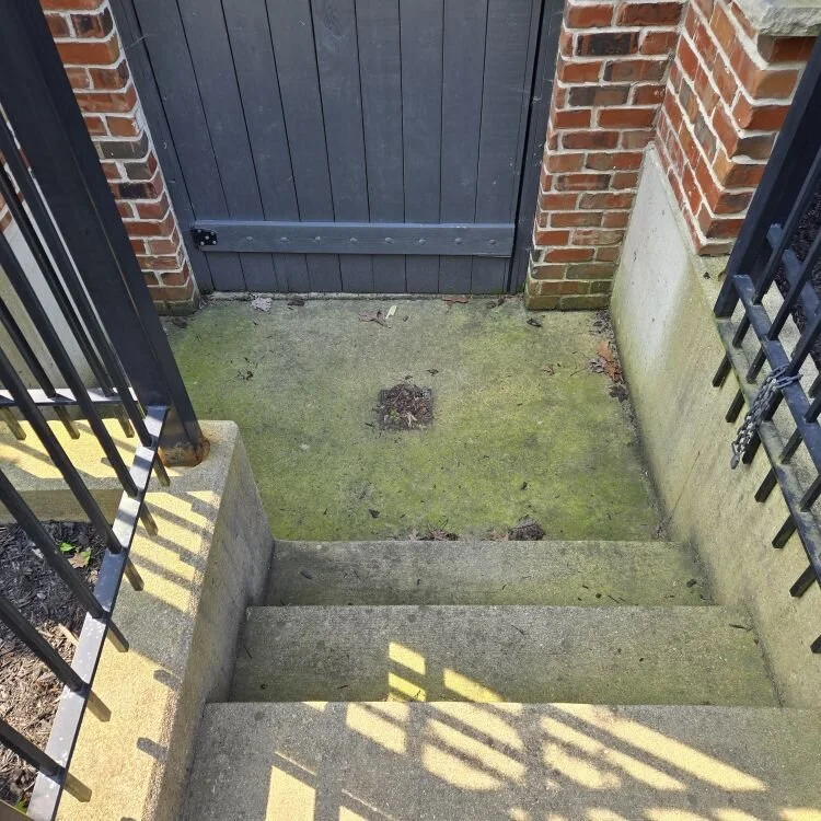 BEFORE: Severe algae staining in Glen Ellyn