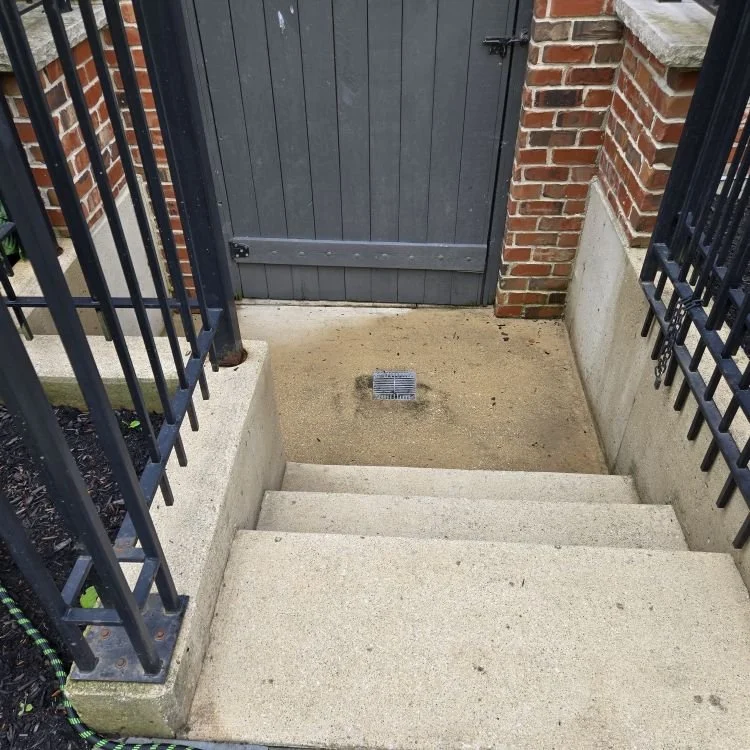AFTER: Concrete pressure washed to remove algae staining in Glen Ellyn
