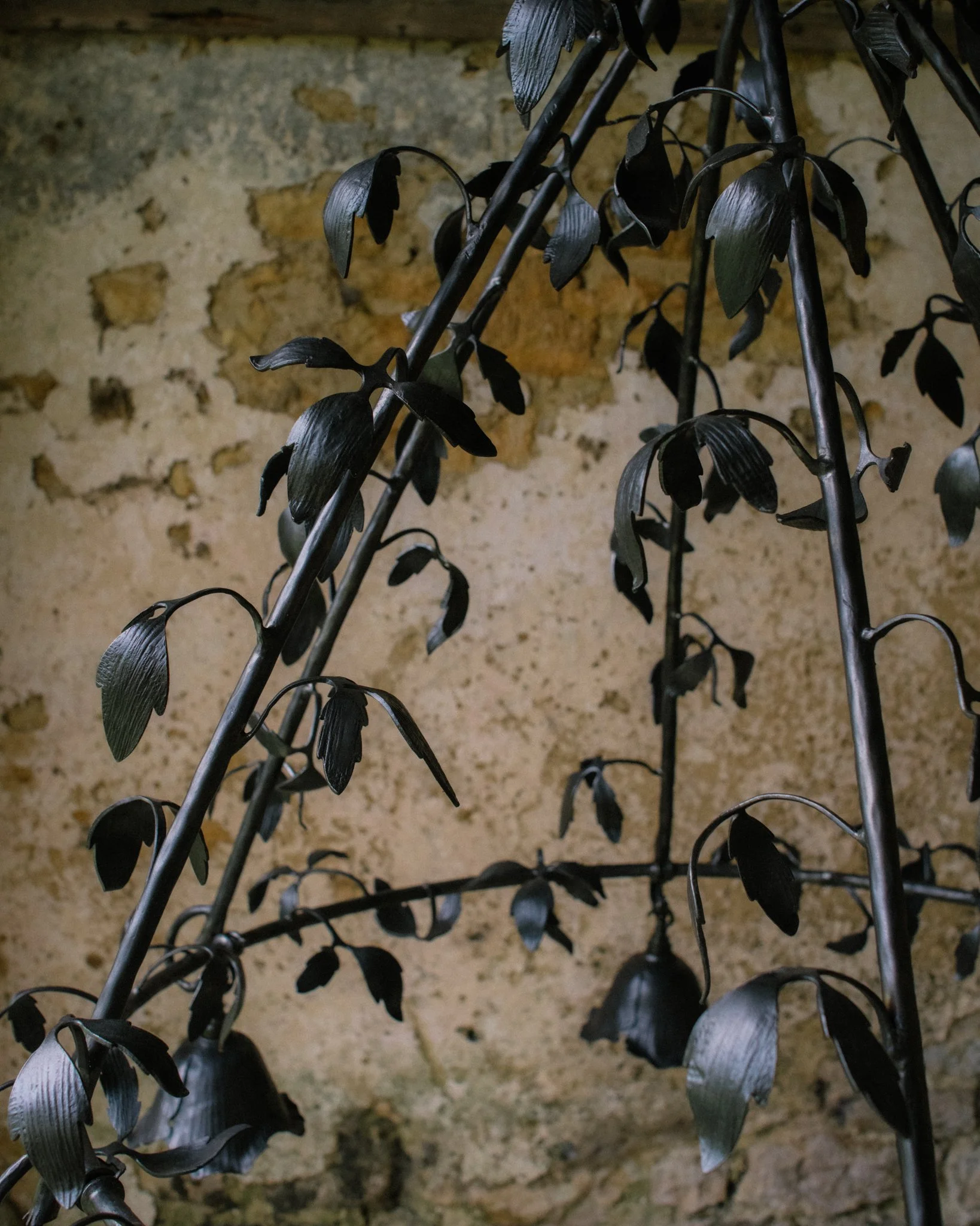 jess wheeler x joya berrow-02.jpg