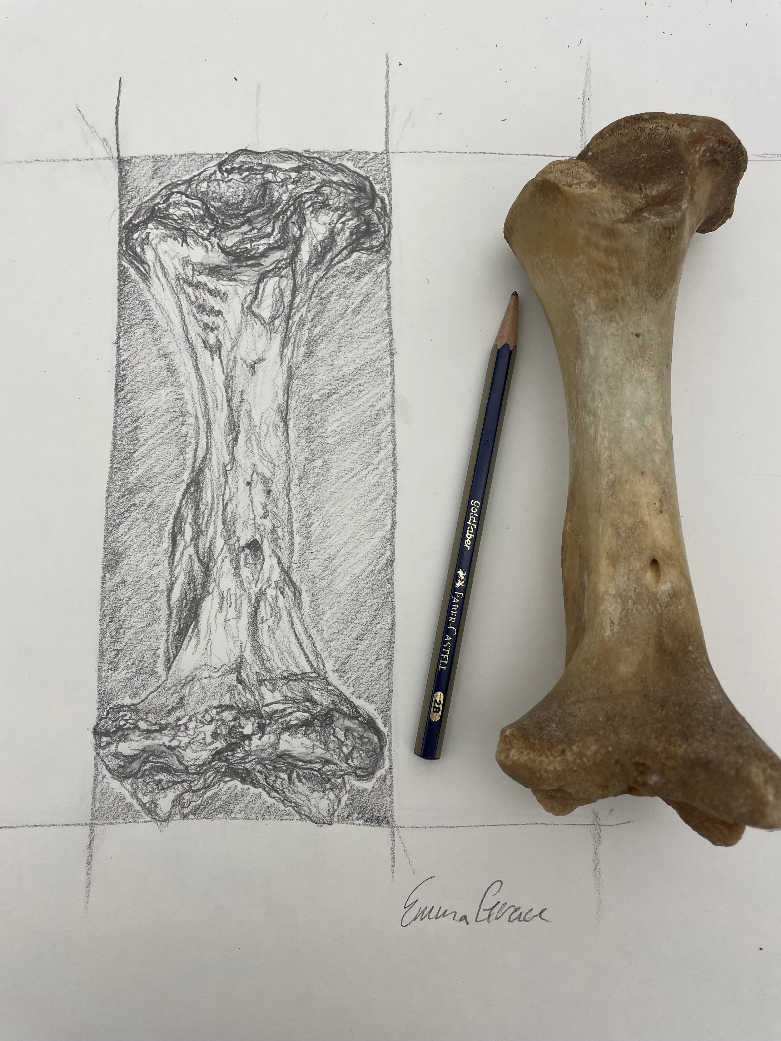 still life sketch, graphite