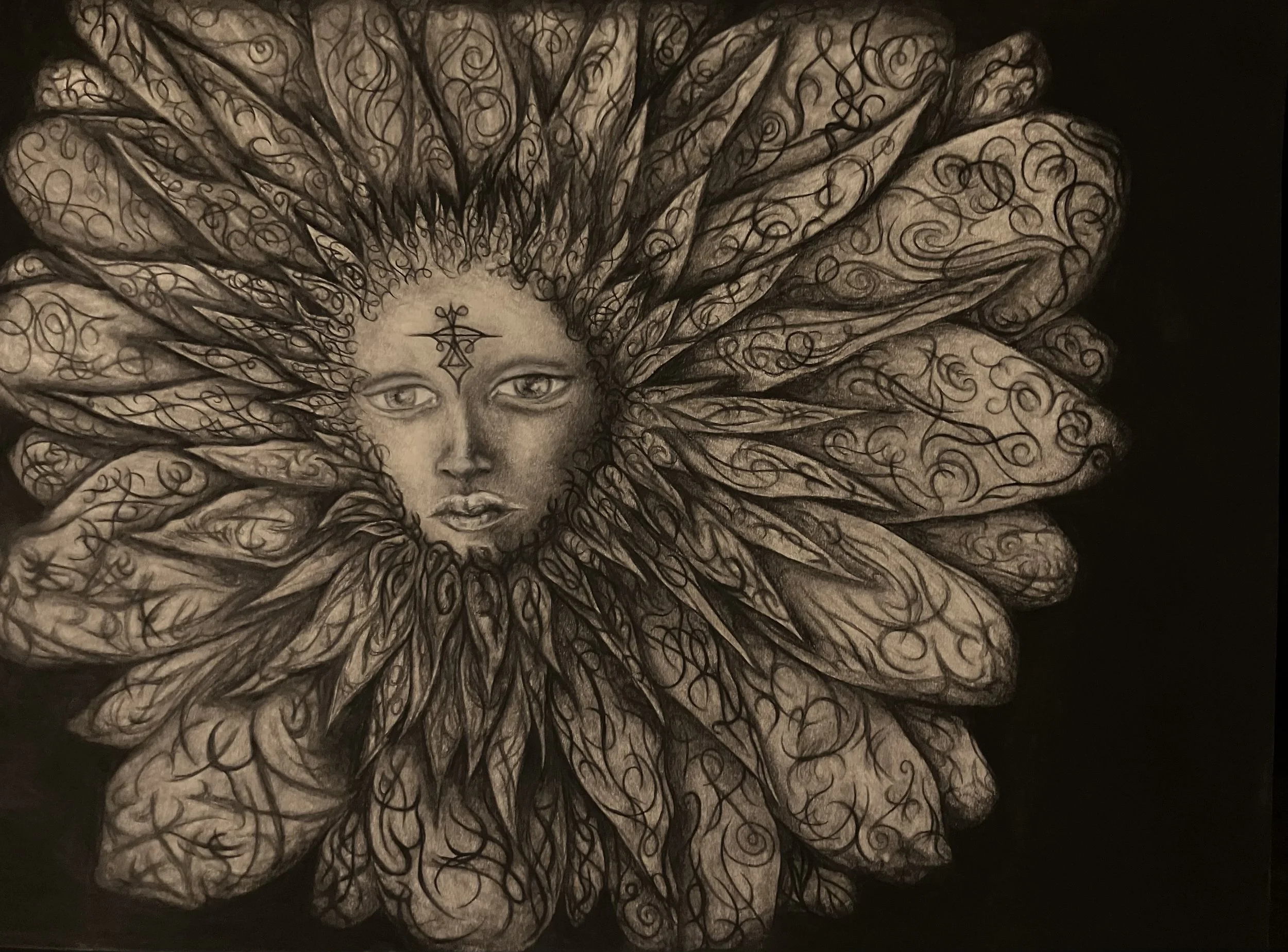 'sunflower personnage' charcoal 