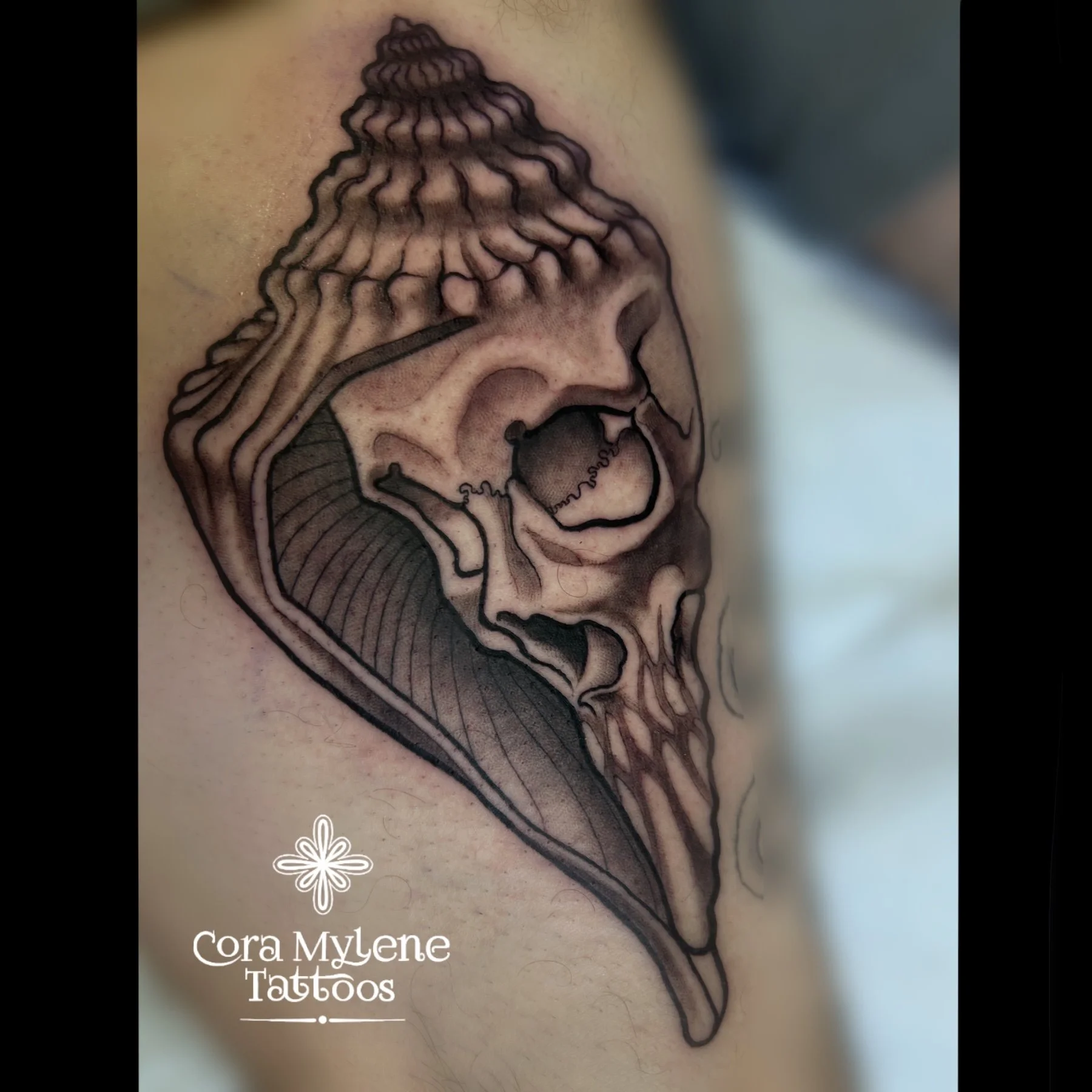 Untitled_Artwork (31).jpg