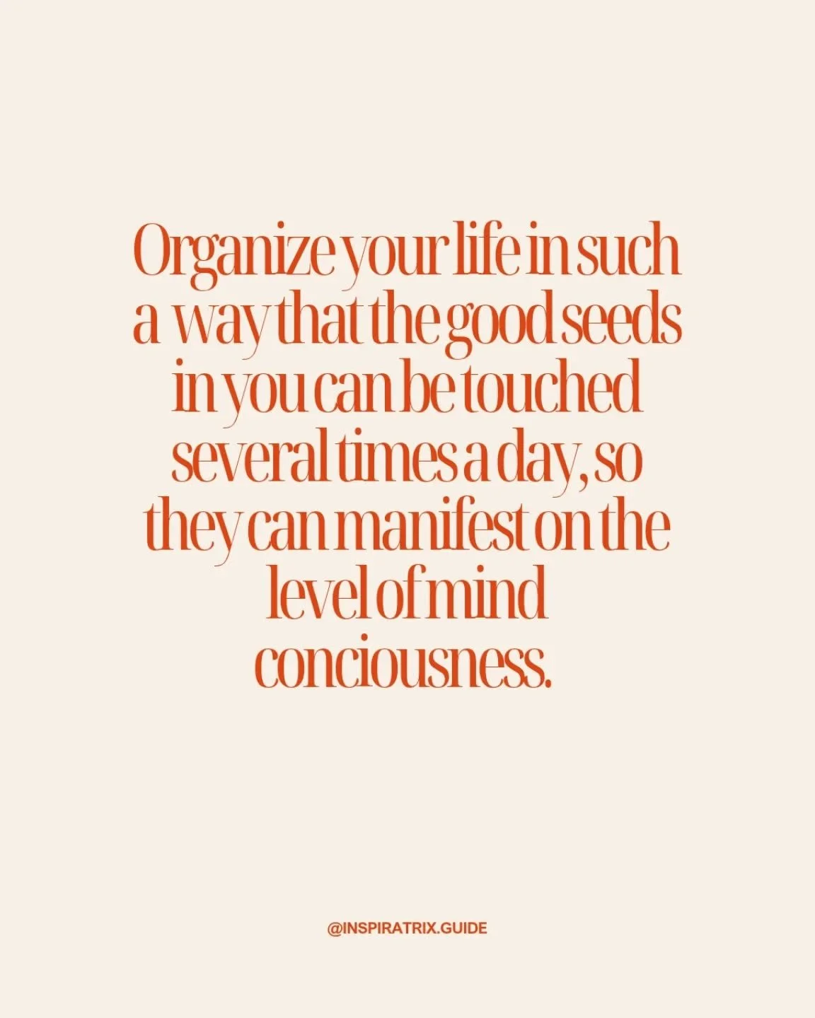 Seeds of joy, forgiveness mindfulness, concentration, insight, equanimity. Don't let anyone (hence, don't be around people who) touch your seeds of anger, despair, hate, etc
Source: The Art of Power by Thich Nhat Hanh