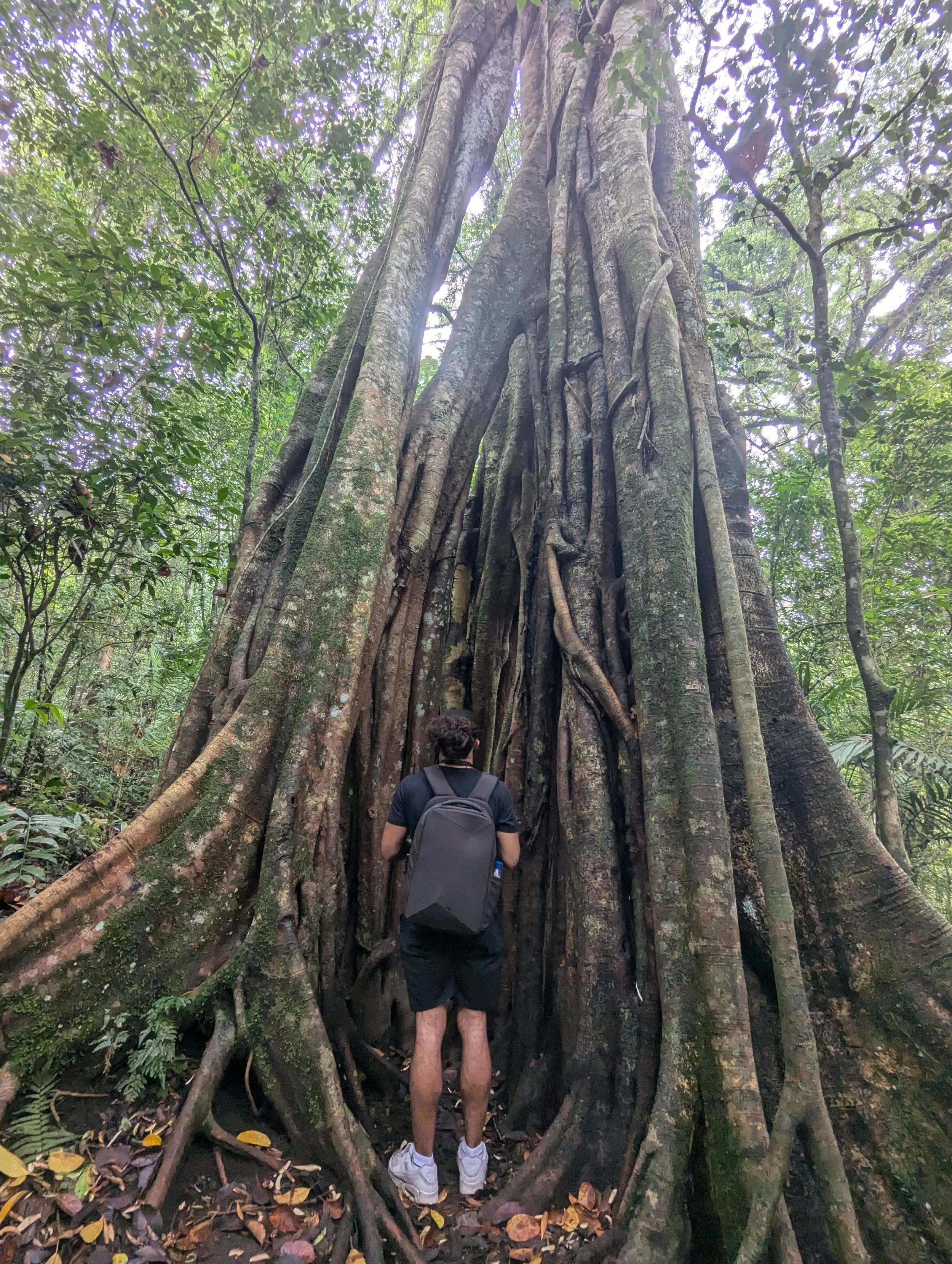 🏺 THE GREAT REBOOT Post 2: The Power Plant – Pluto in Aquarius and the Great "Upload"