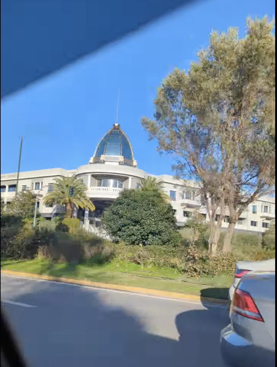 🌍 Travel: Escaping the Athens Concrete: My Winter Weekend Oasis in the Riviera (With a Dog!)