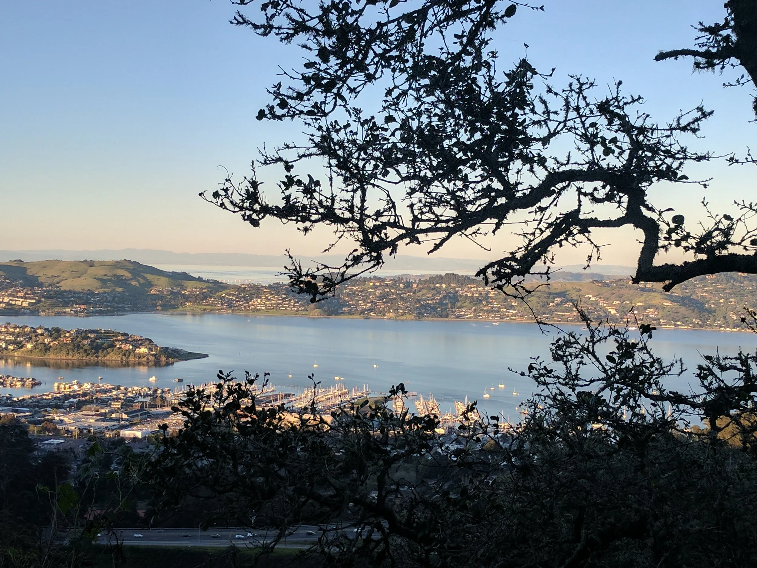 Marin Headlands Sanctuary.jpg