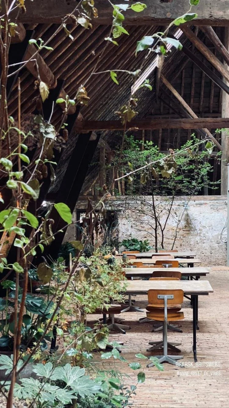 WhatsApp Image 2025-02-19 at 16.33.04.jpeg