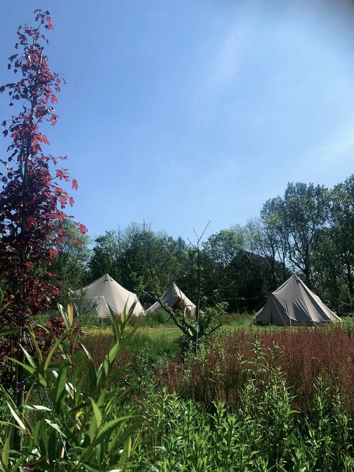 WhatsApp Image 2025-02-24 at 02.46.58(3).jpeg