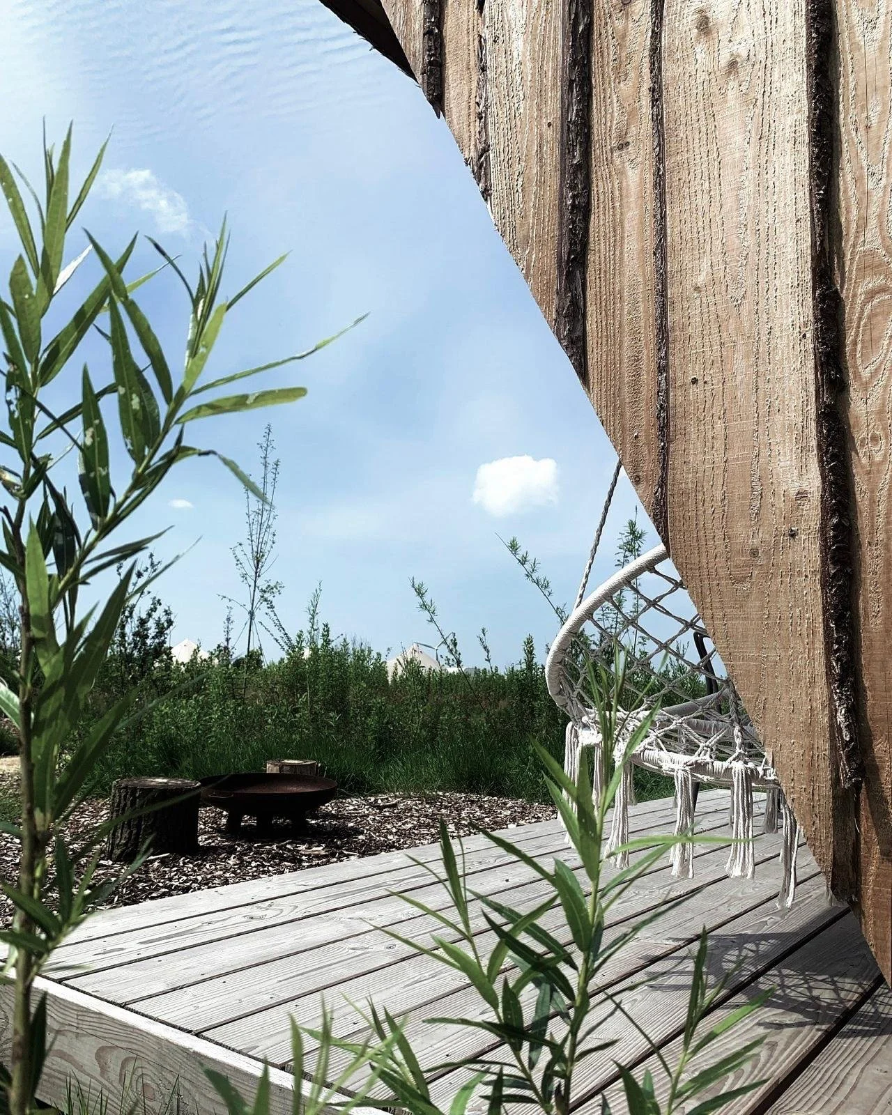 WhatsApp Image 2025-02-24 at 02.37.09.jpeg