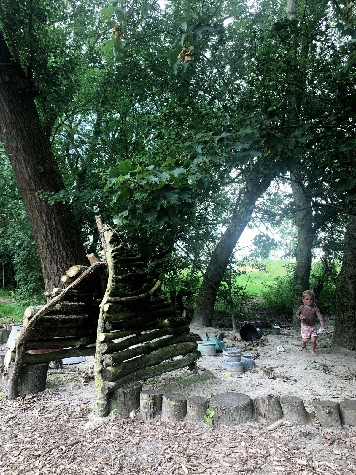 WhatsApp Image 2025-02-24 at 02.46.58.jpeg