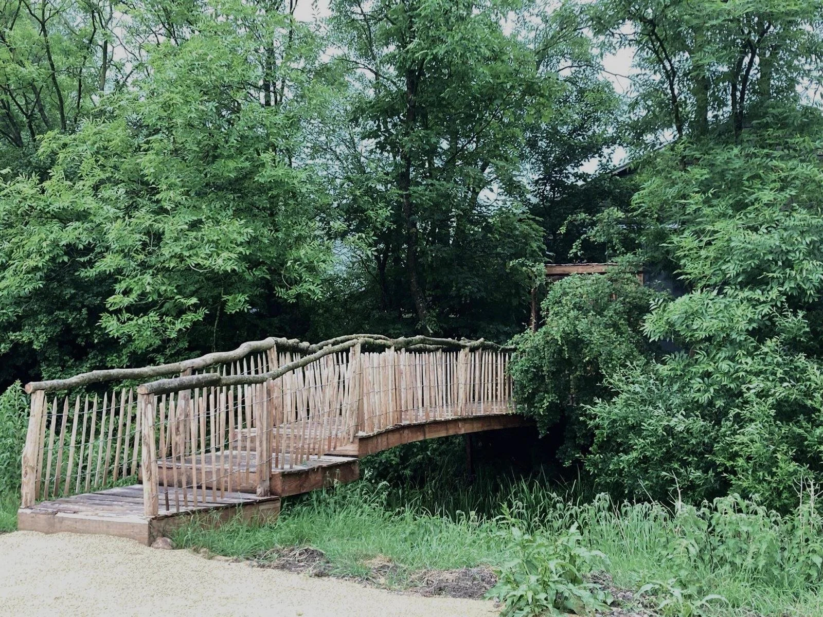 WhatsApp Image 2025-02-24 at 02.46.58(4).jpeg