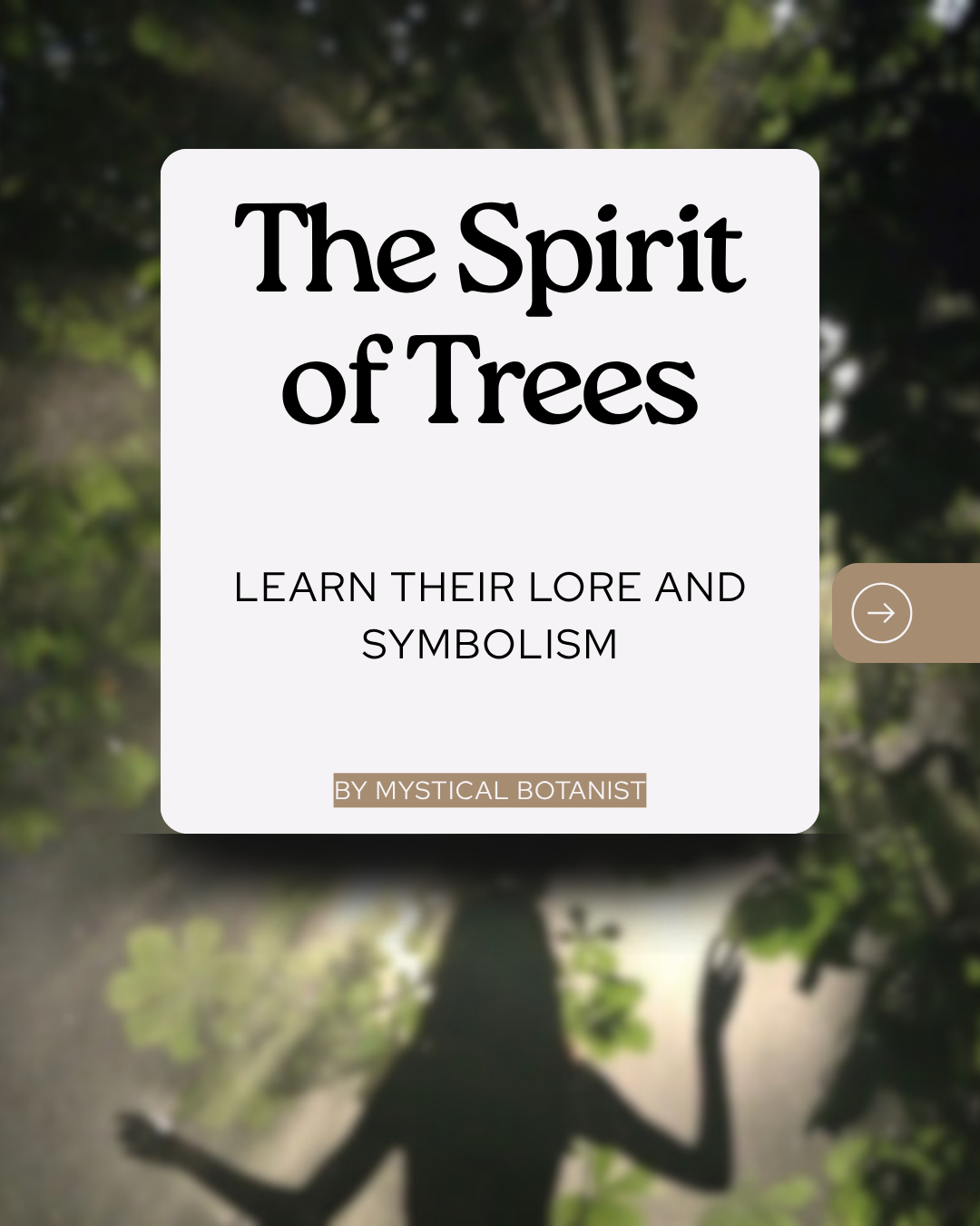 The Spirit of Trees: Learn about their lore and symbolism
