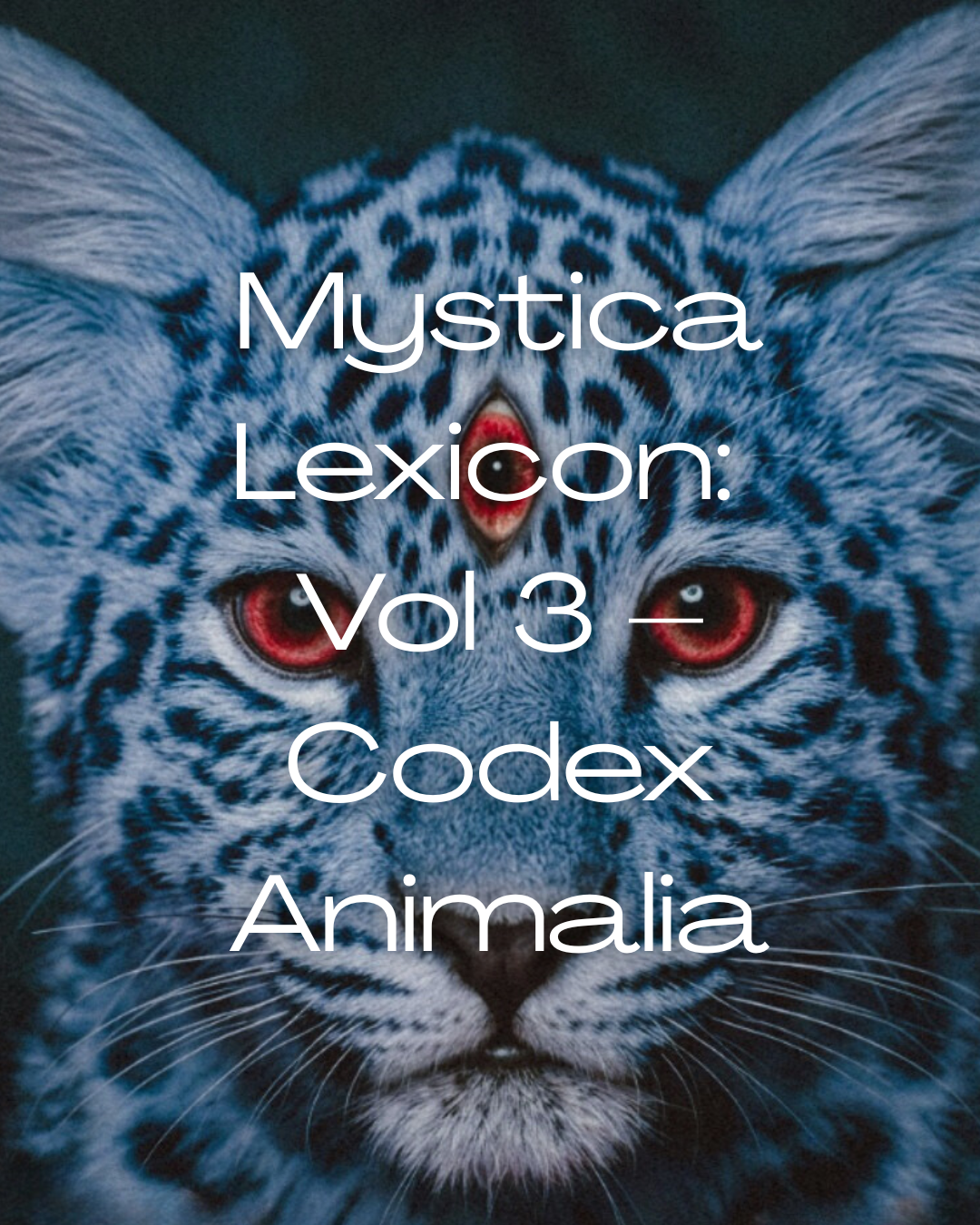 Your paragraph text.PNG